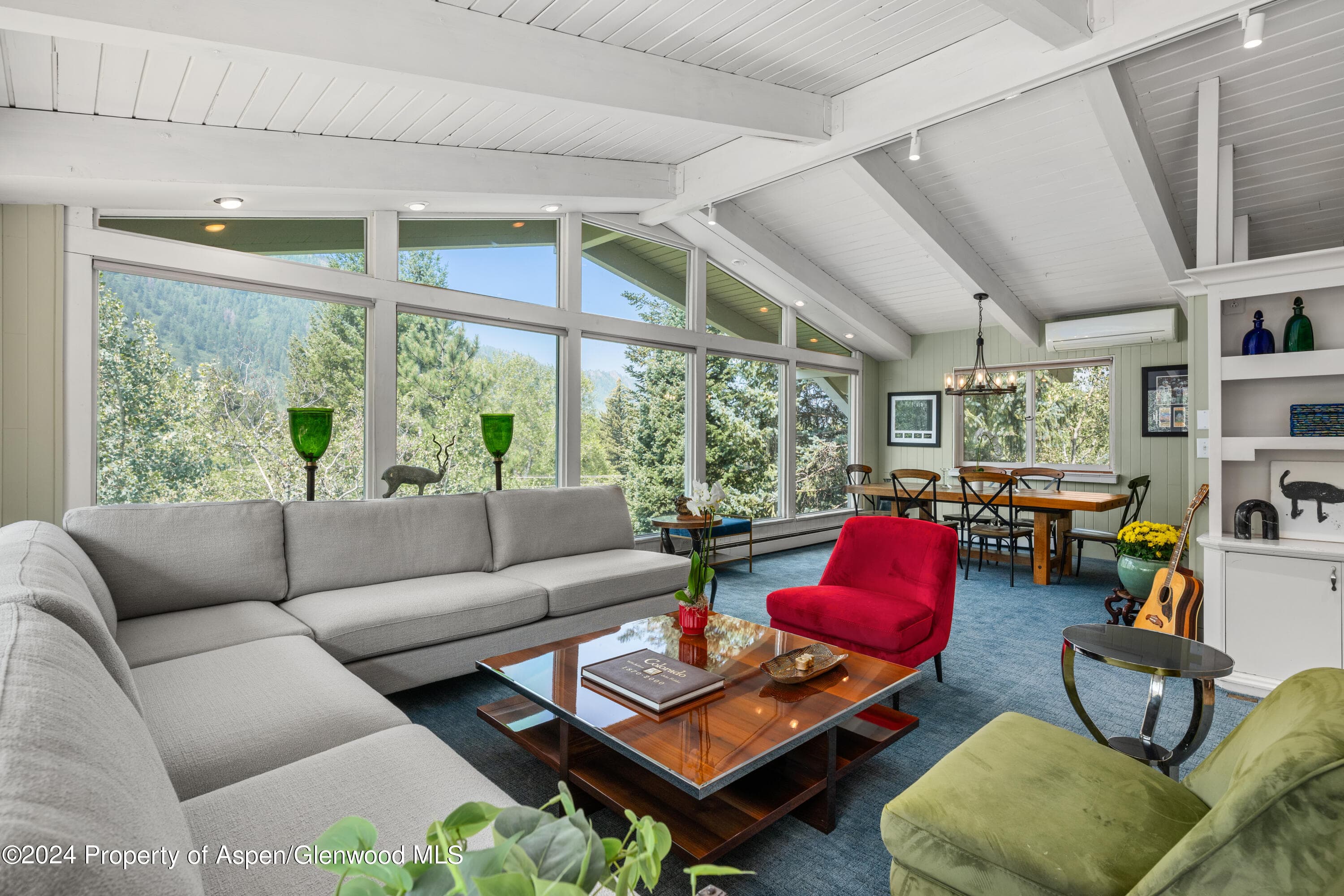 154 E Lupine Drive, Aspen, CO 81611 - Photo 5