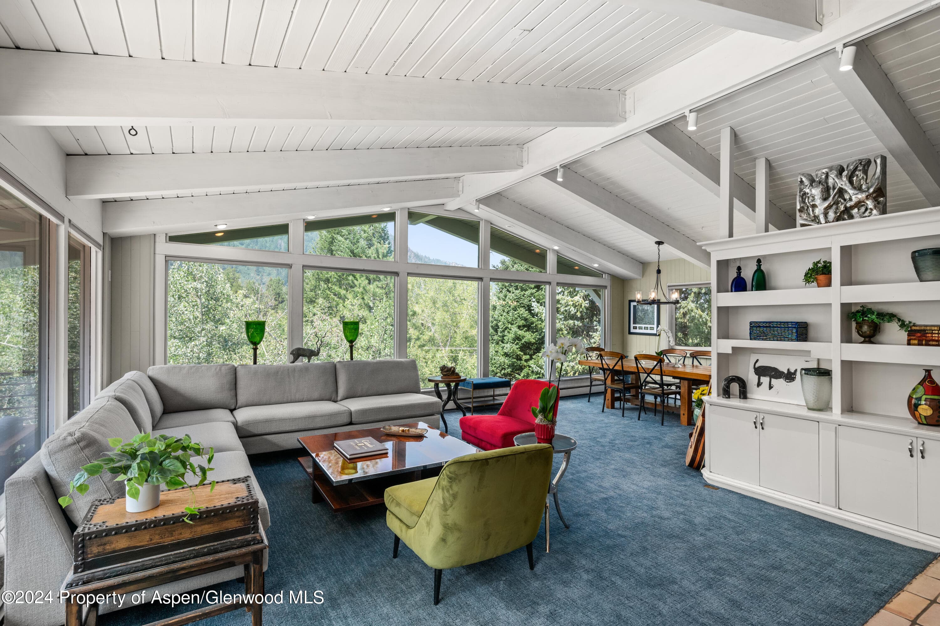 154 E Lupine Drive, Aspen, CO 81611 - Photo 3