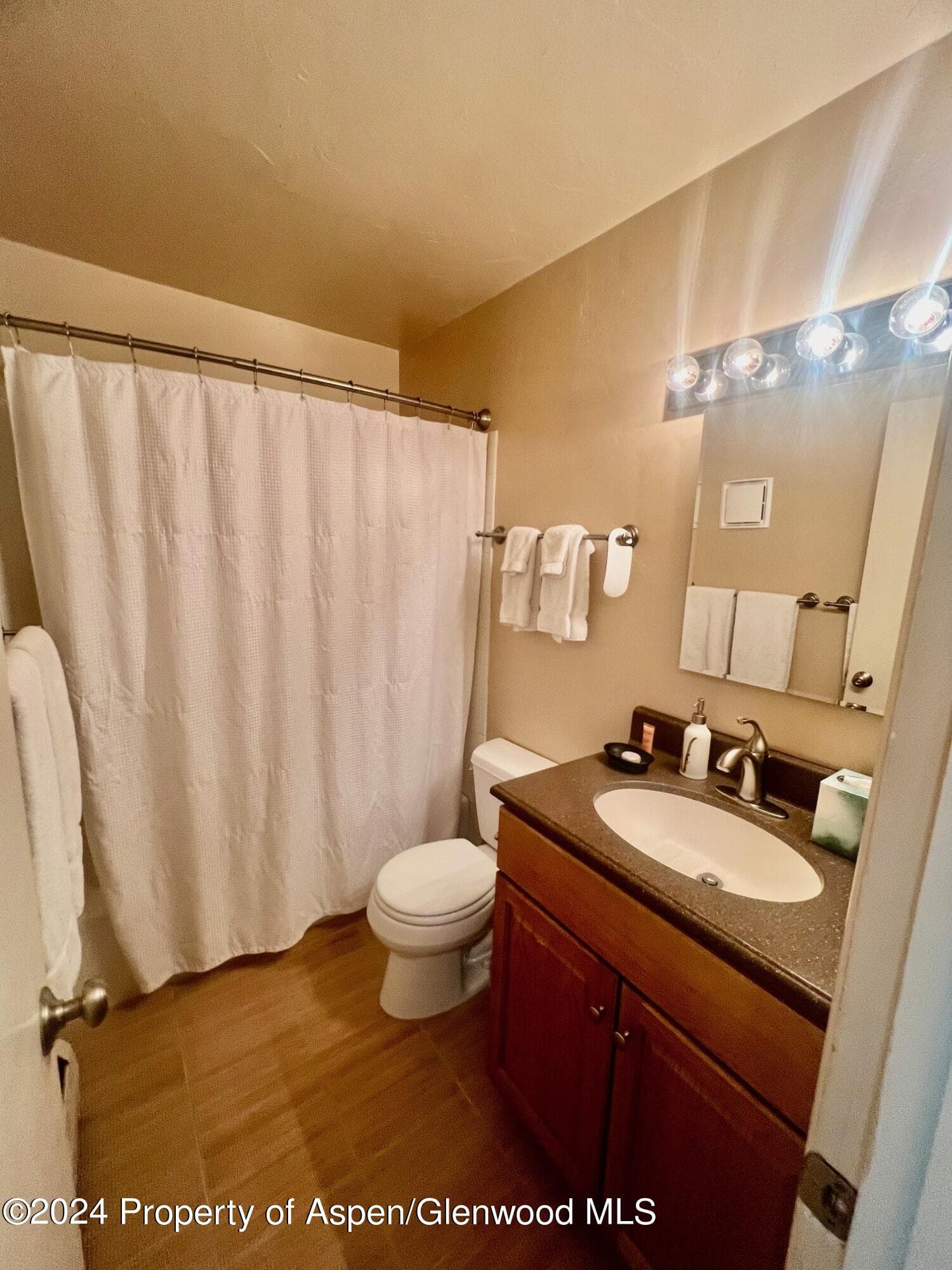 210 E Cooper Avenue 2D, Aspen, CO 81611 - Photo 16