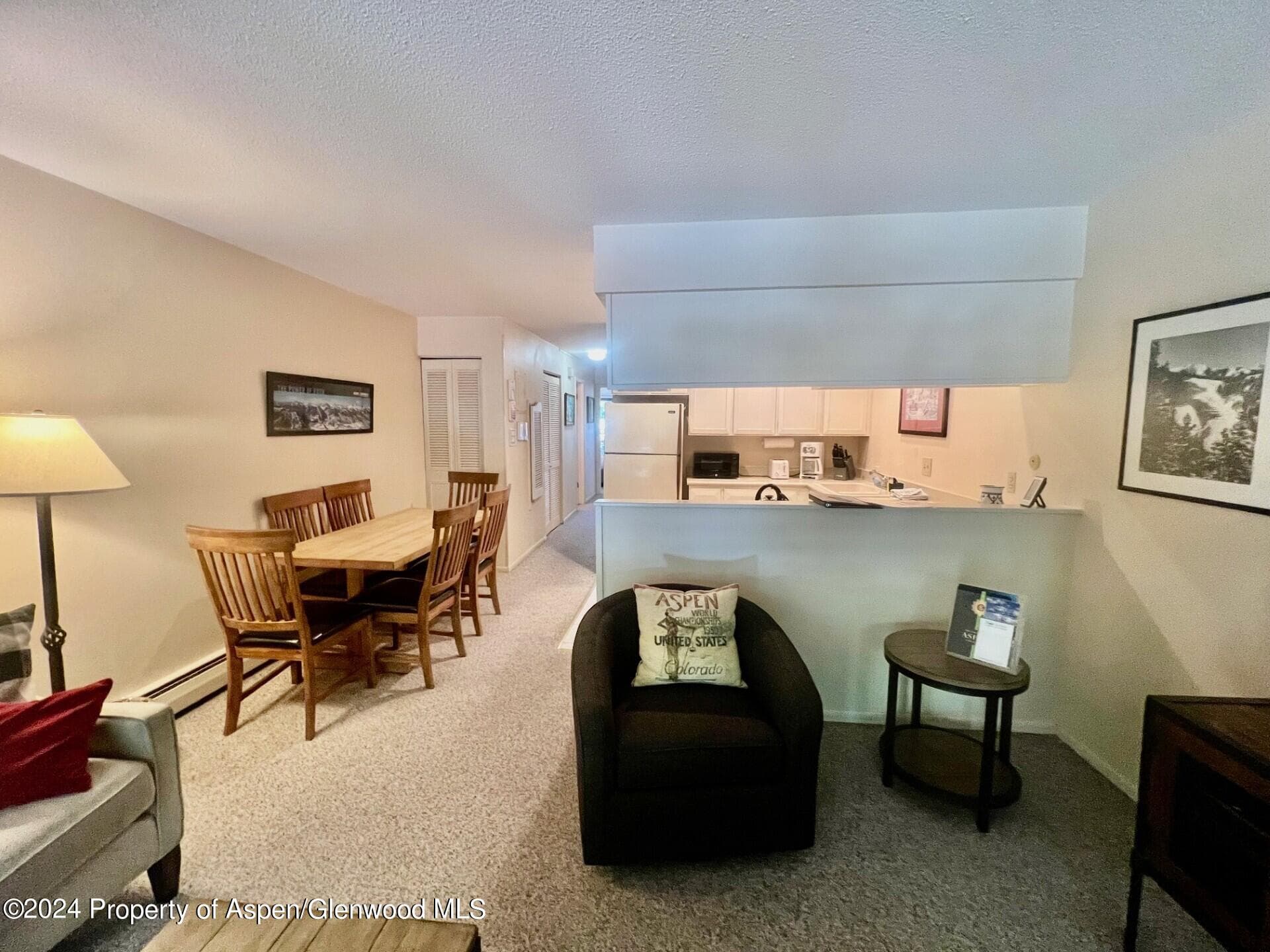 210 E Cooper Avenue 2D, Aspen, CO 81611 - Photo 5