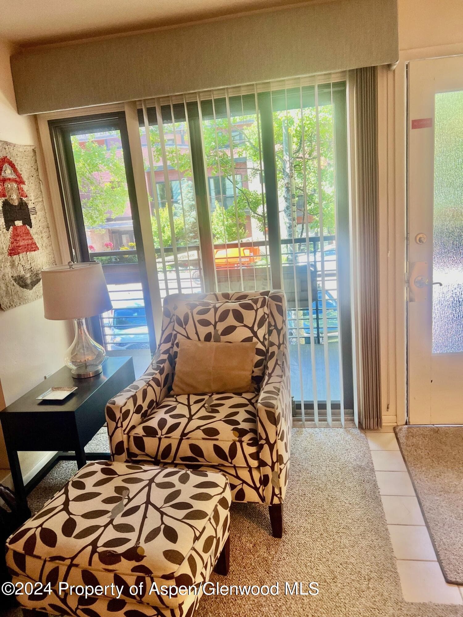 210 E Cooper Avenue 2D, Aspen, CO 81611 - Photo 6