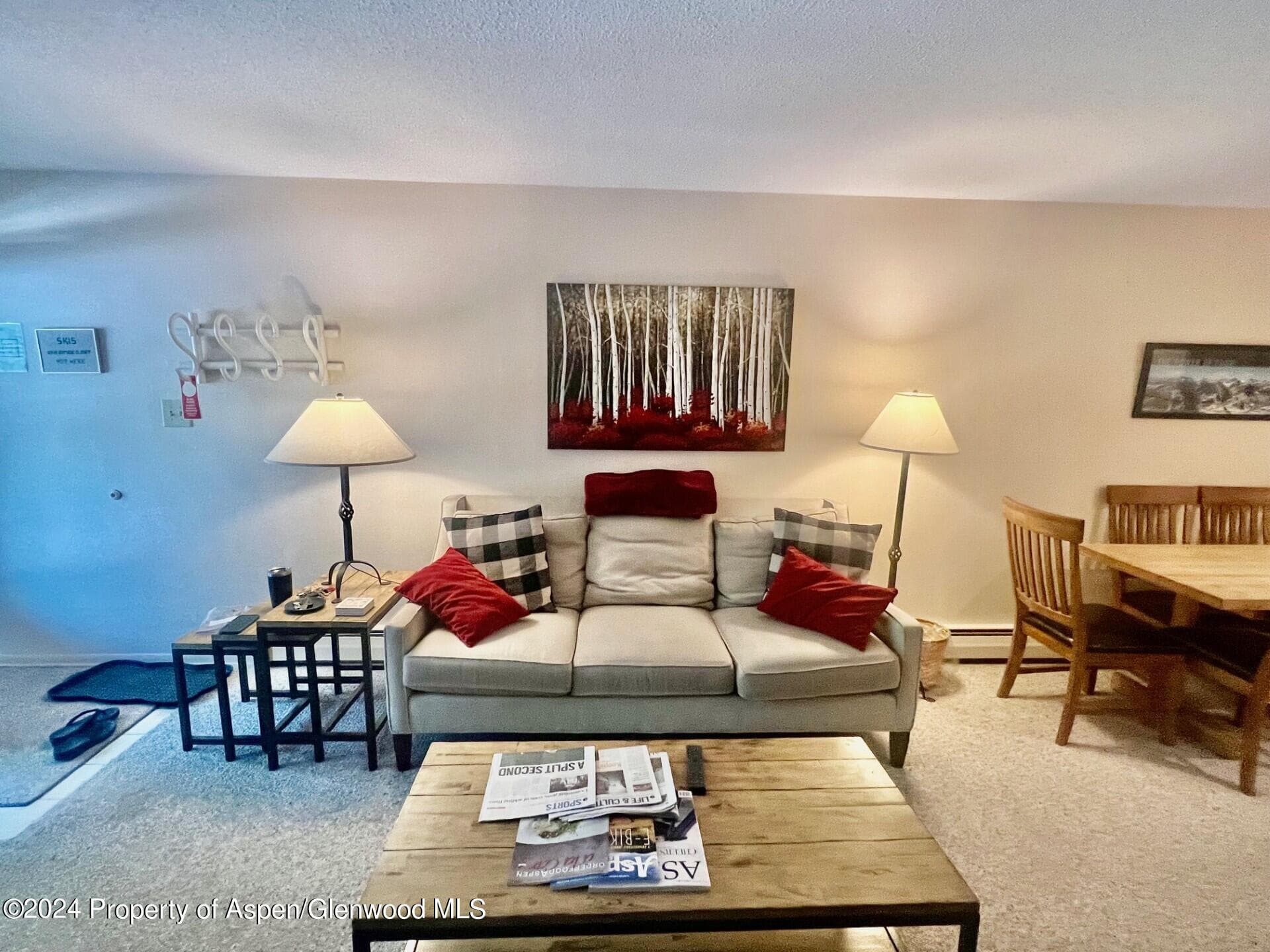 210 E Cooper Avenue 2D, Aspen, CO 81611 - Photo 8