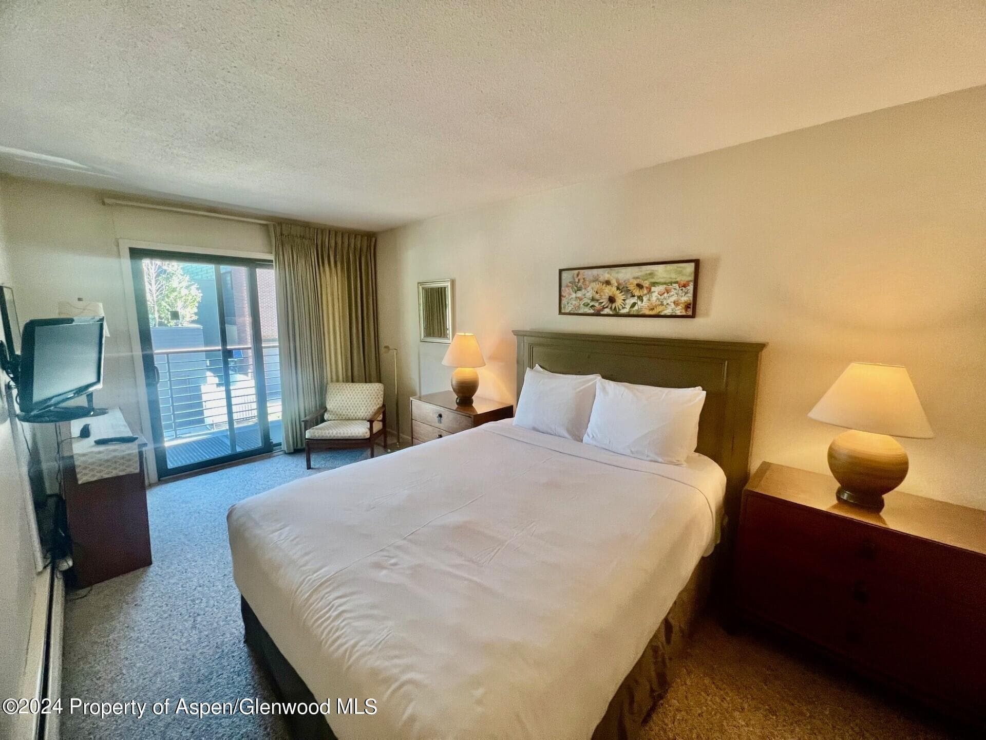 210 E Cooper Avenue 2D, Aspen, CO 81611 - Photo 11