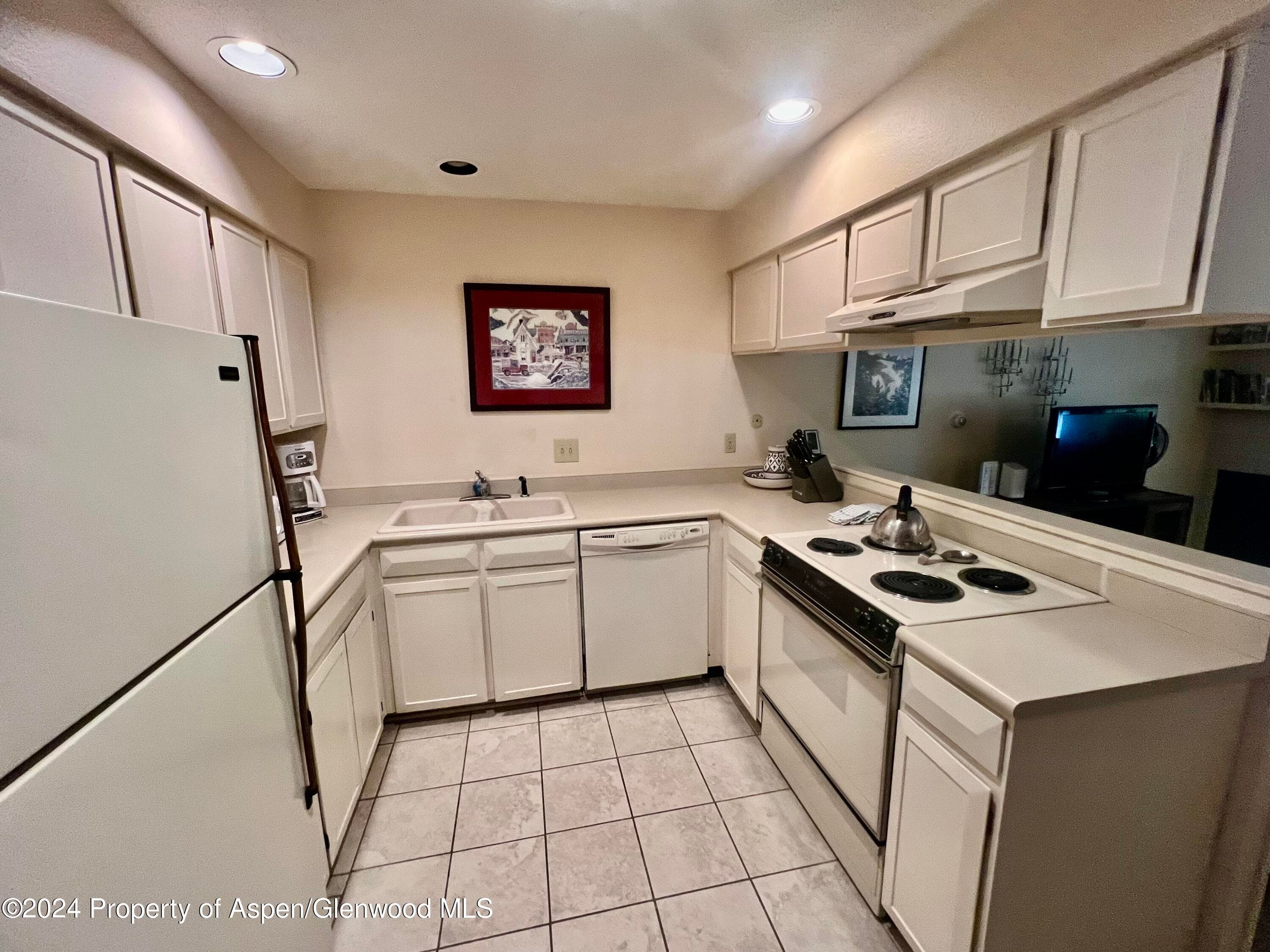 210 E Cooper Avenue 2D, Aspen, CO 81611 - Photo 4