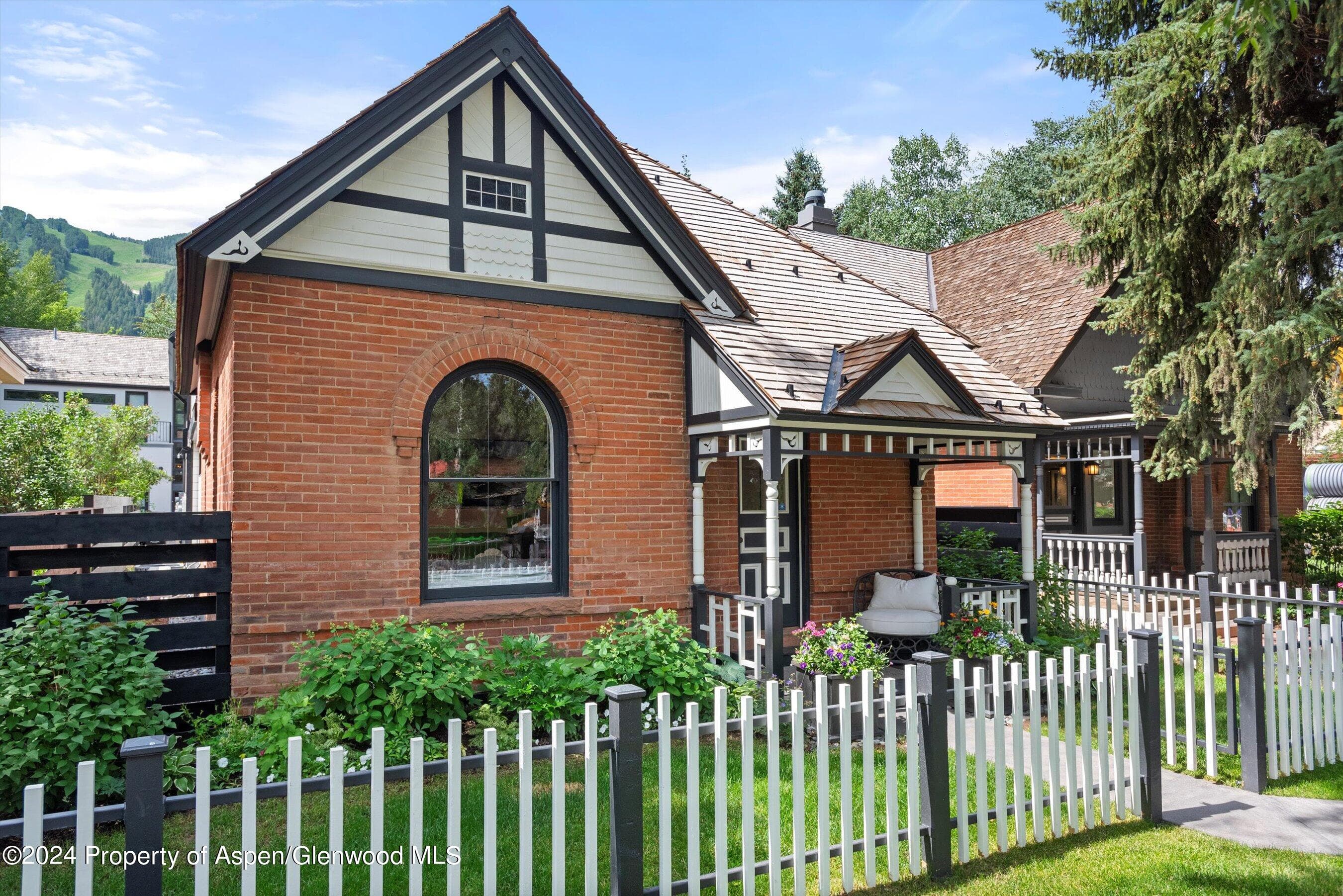 105 E Hallam Street, Aspen, CO 81611 - Photo 47