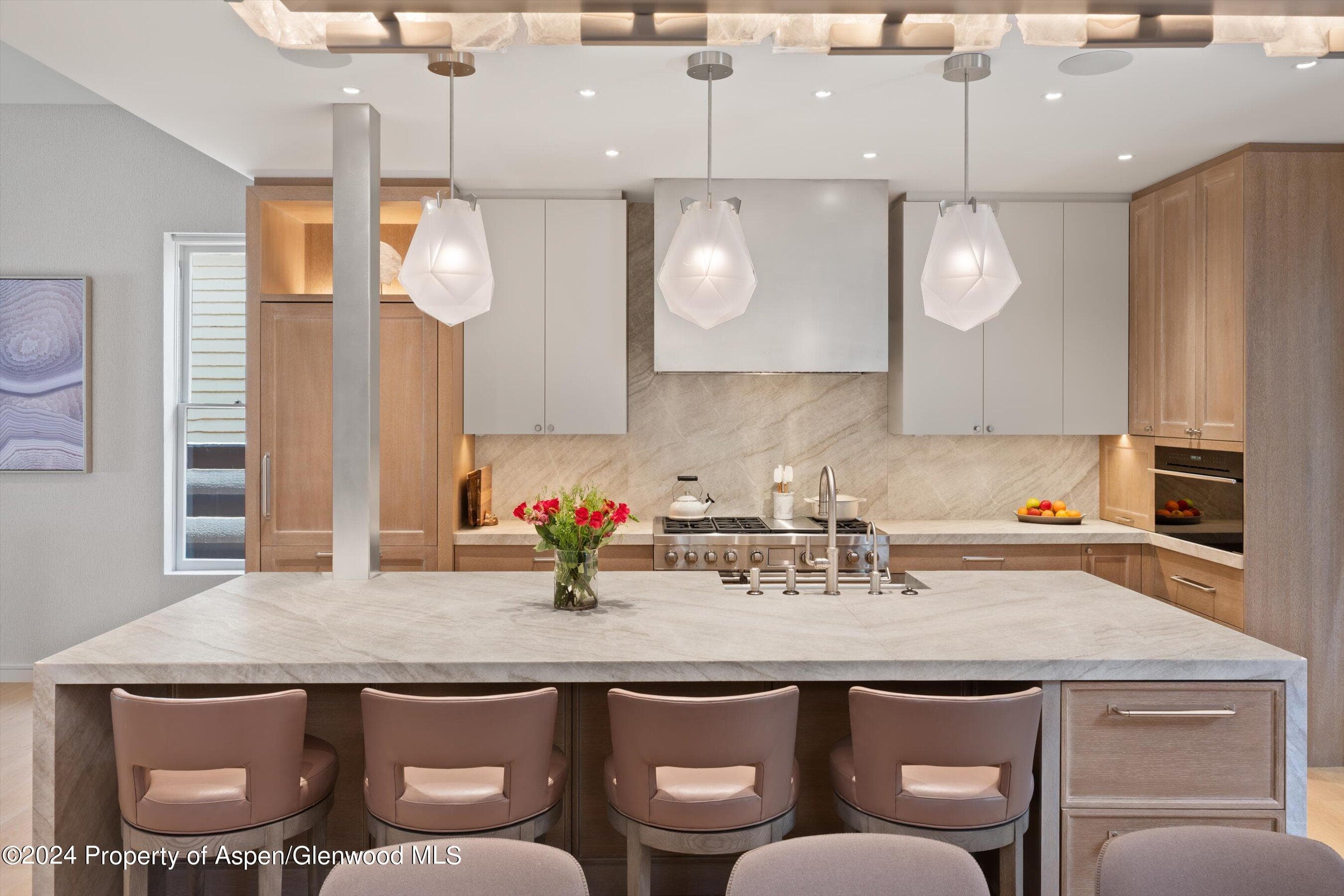 105 E Hallam Street, Aspen, CO 81611 - Photo 4