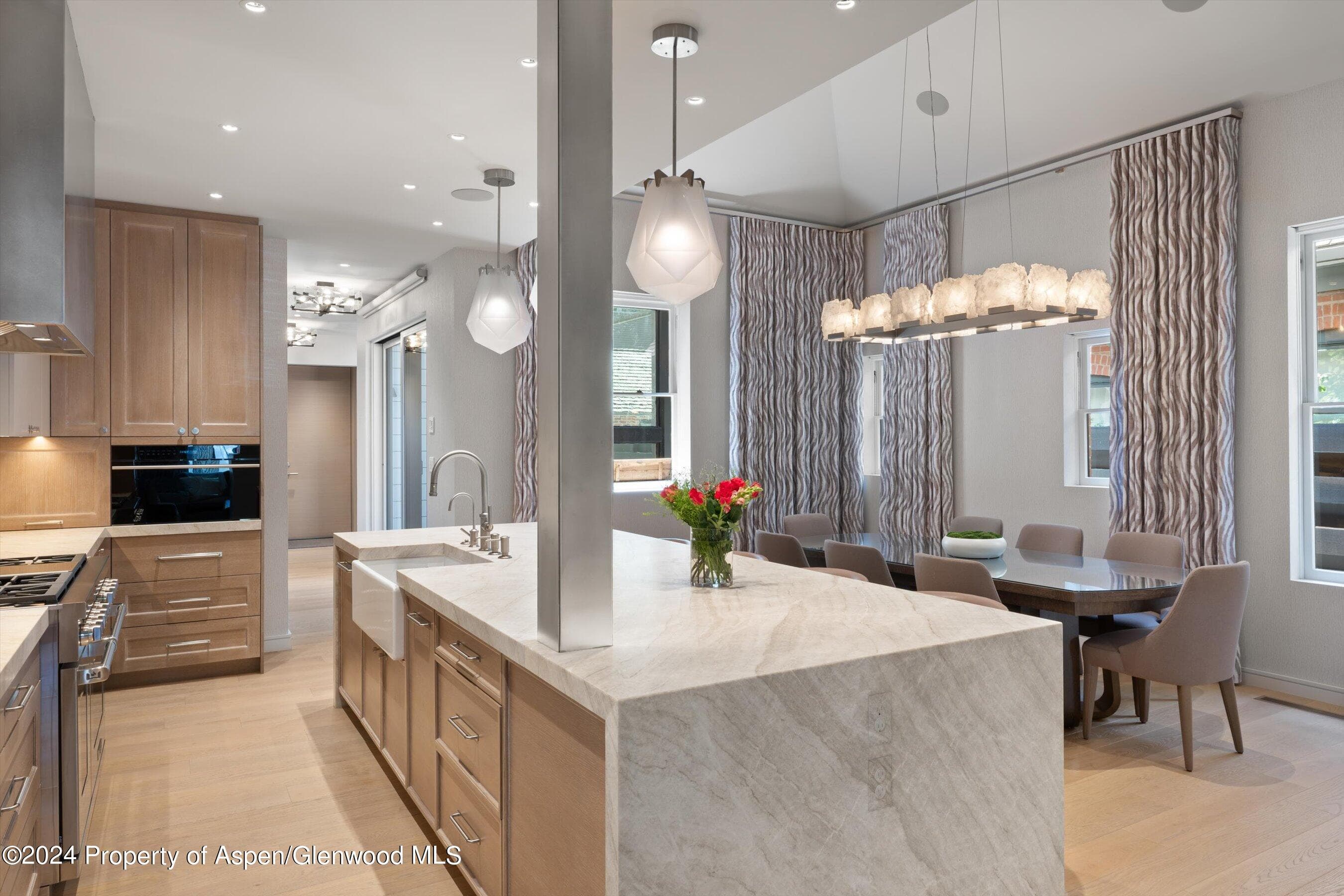 105 E Hallam Street, Aspen, CO 81611 - Photo 8