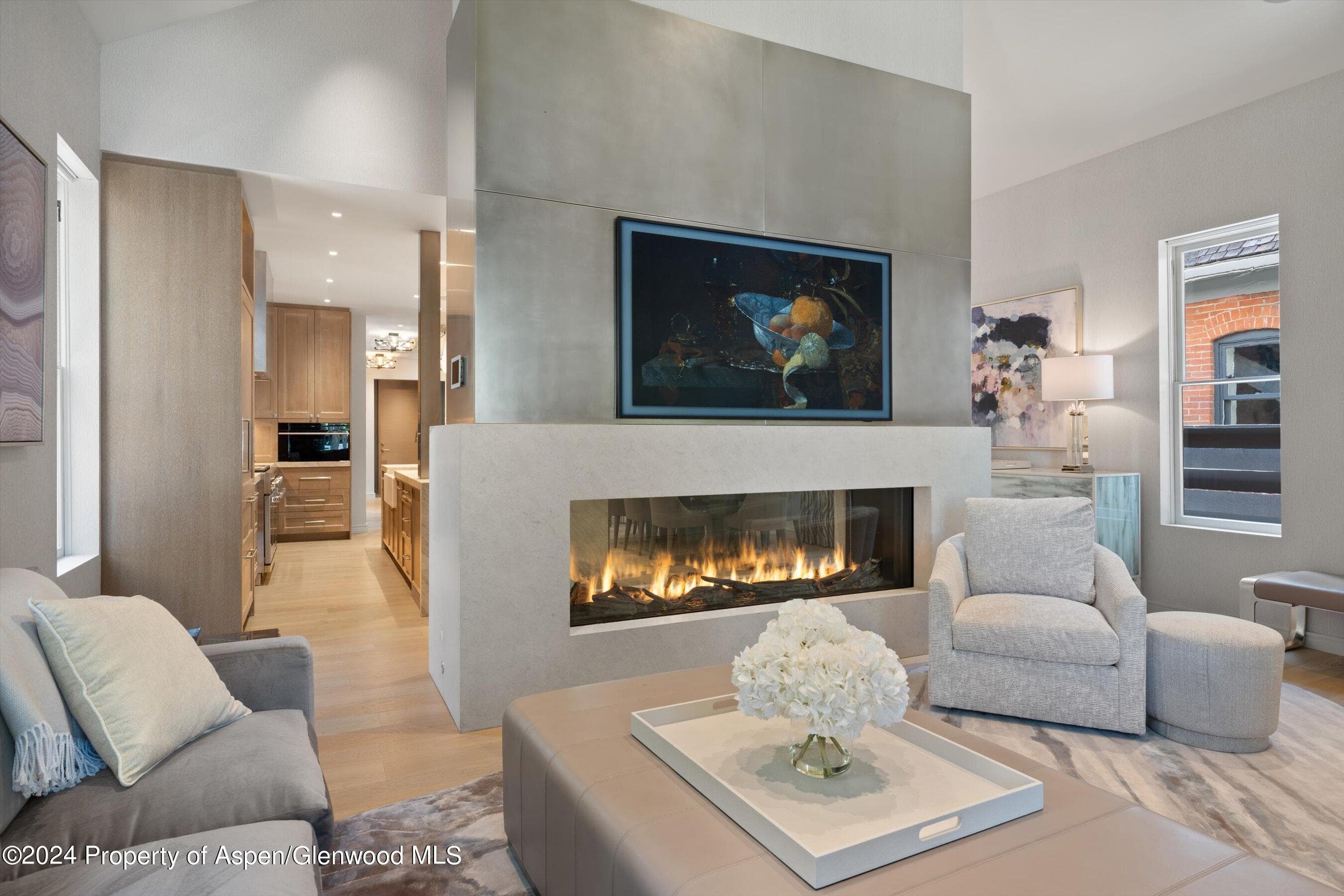 105 E Hallam Street, Aspen, CO 81611 - Photo 13