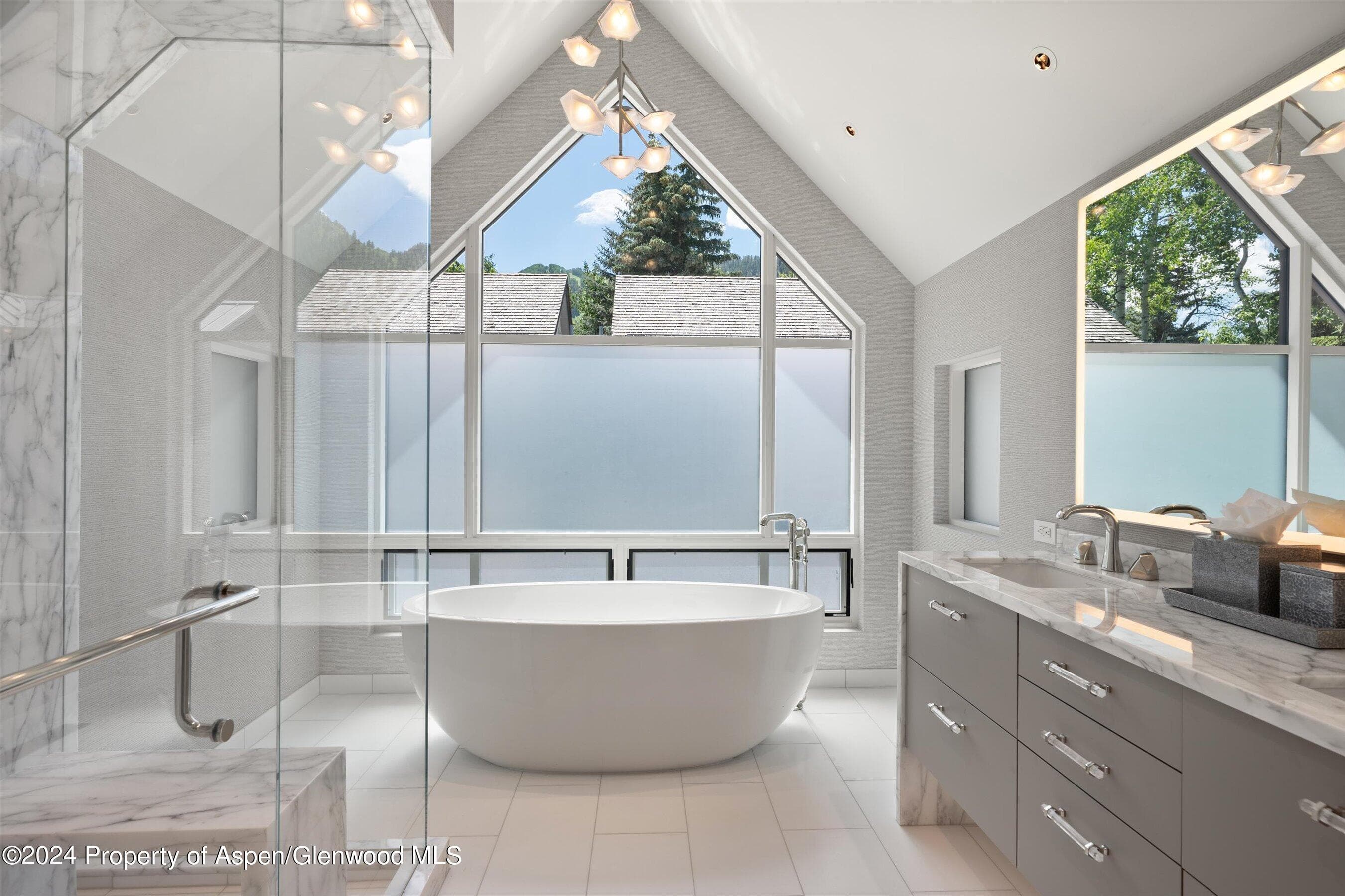 105 E Hallam Street, Aspen, CO 81611 - Photo 18