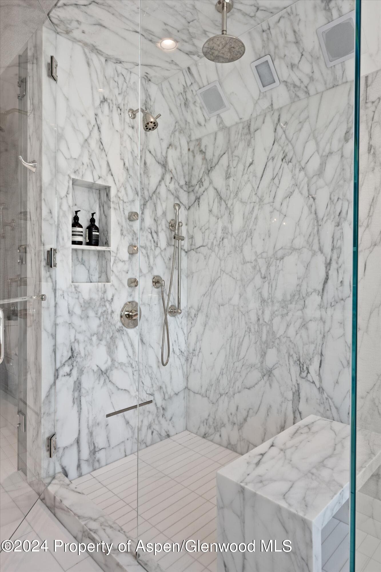 105 E Hallam Street, Aspen, CO 81611 - Photo 19