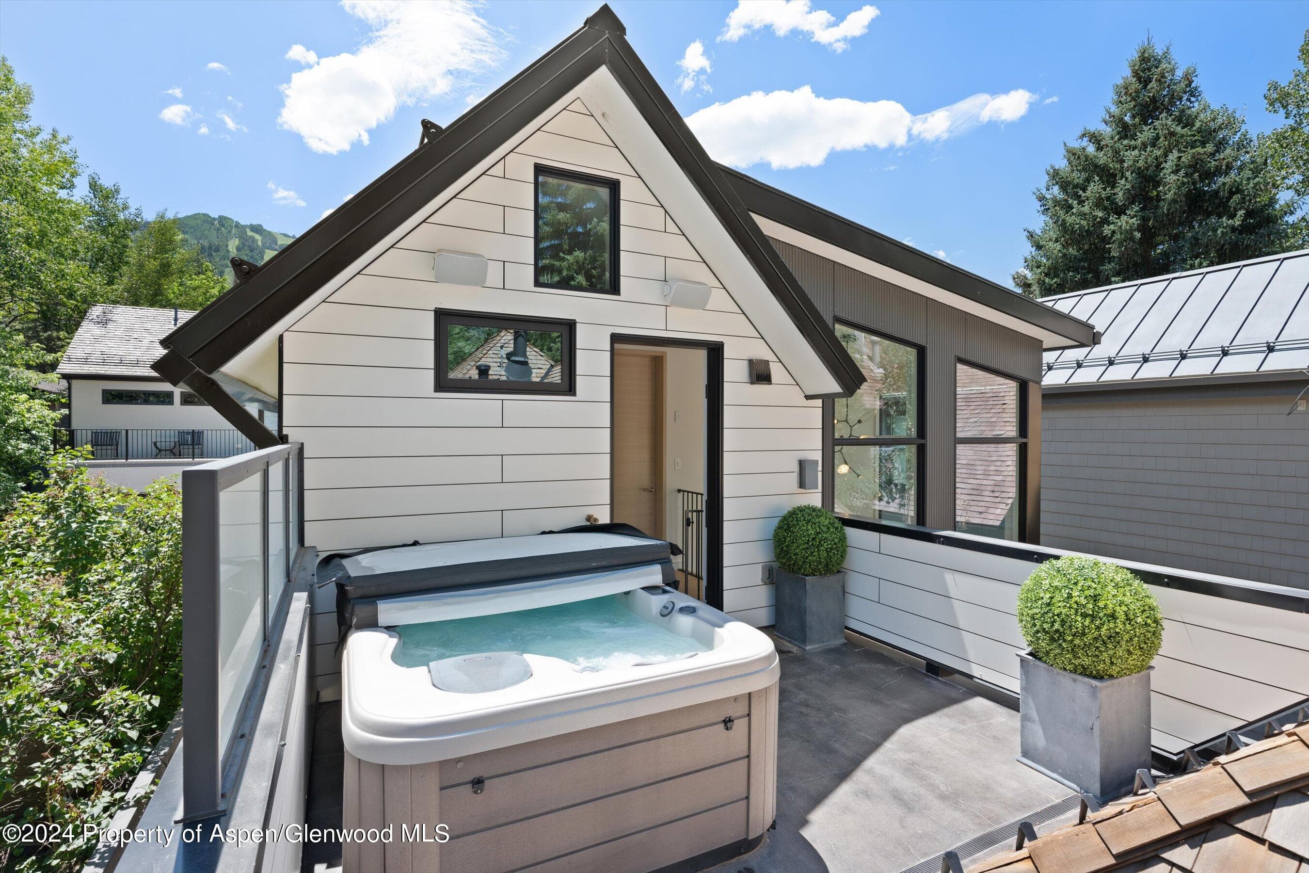 105 E Hallam Street, Aspen, CO 81611 - Photo 37