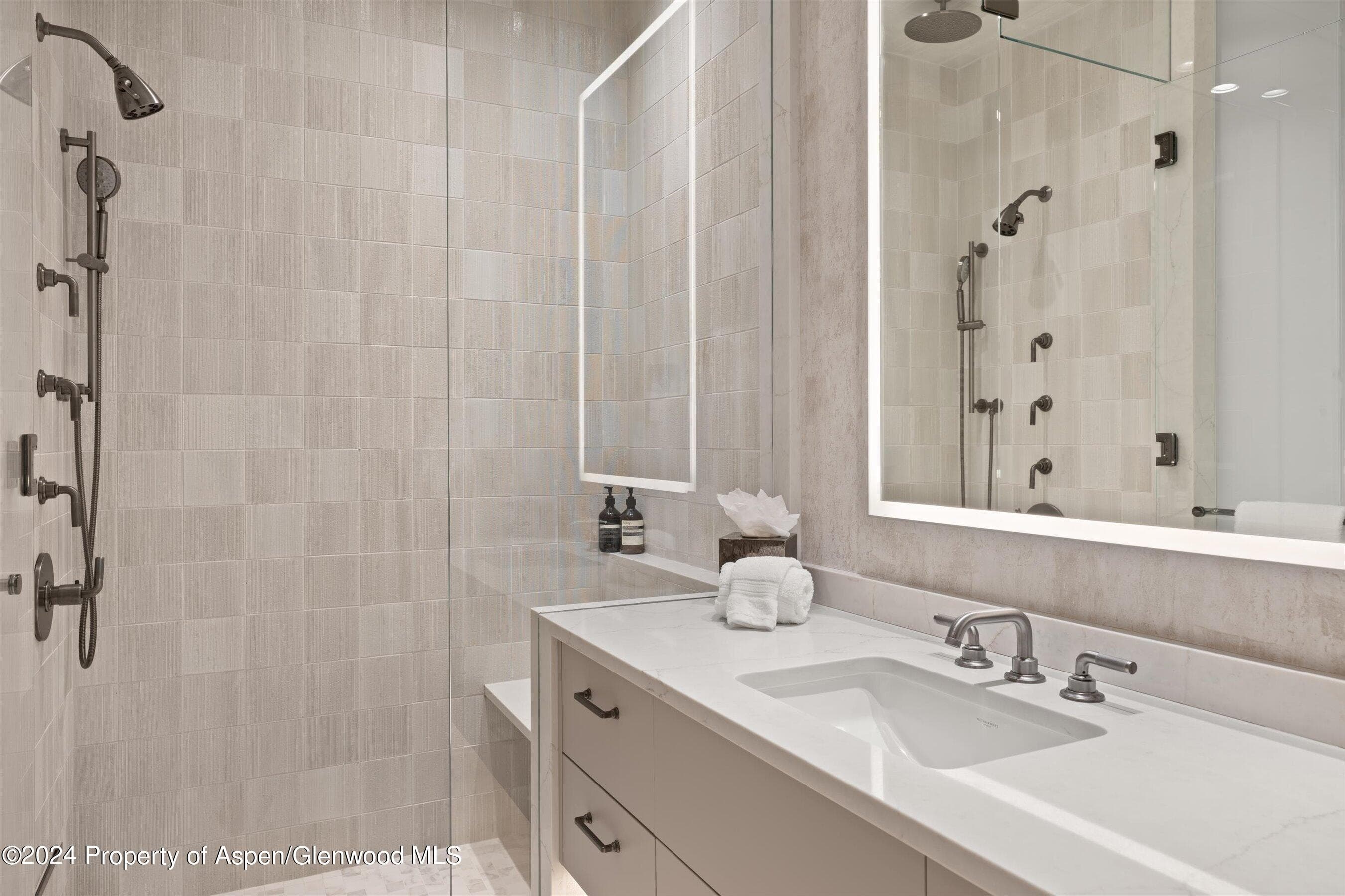 105 E Hallam Street, Aspen, CO 81611 - Photo 29