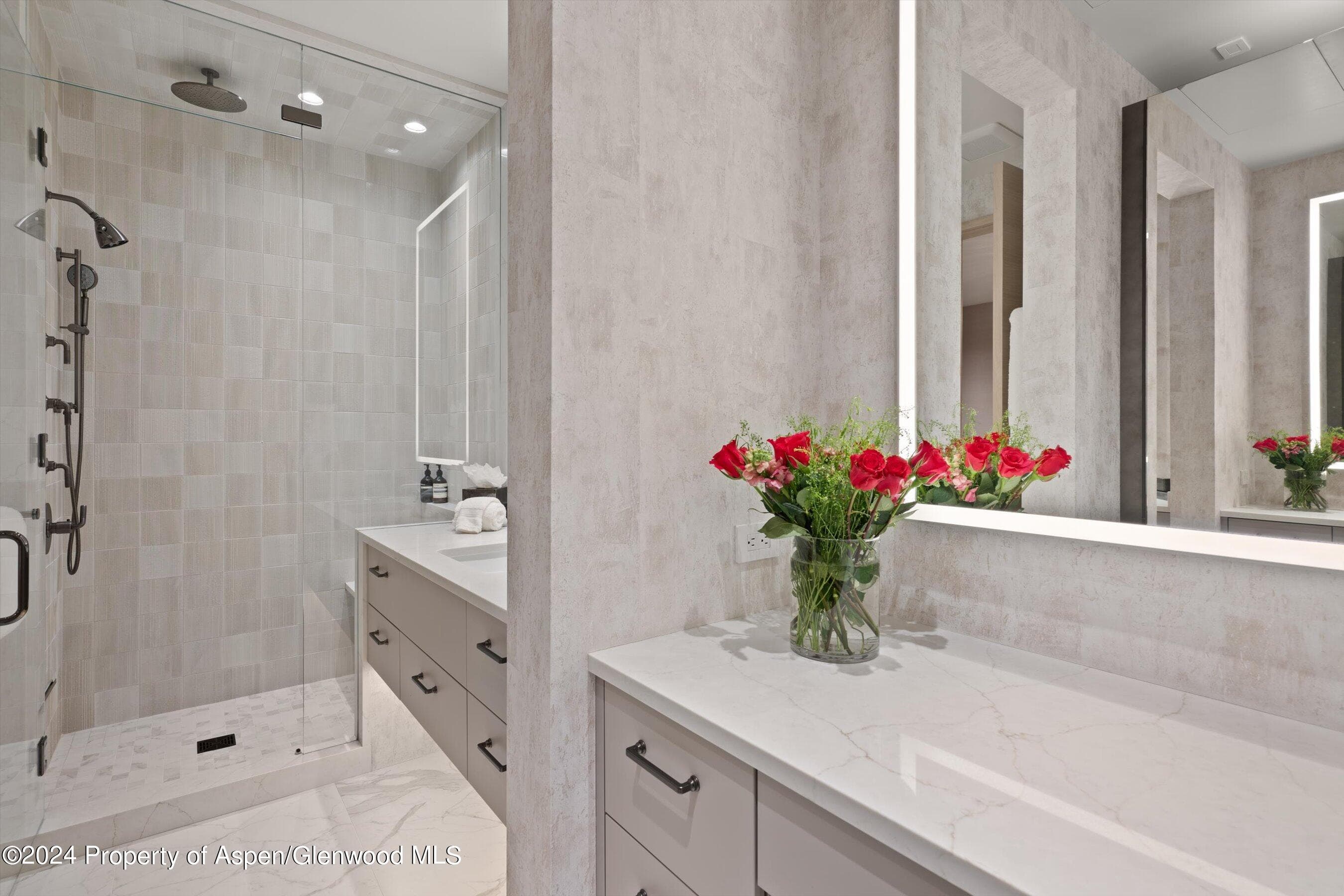 105 E Hallam Street, Aspen, CO 81611 - Photo 30
