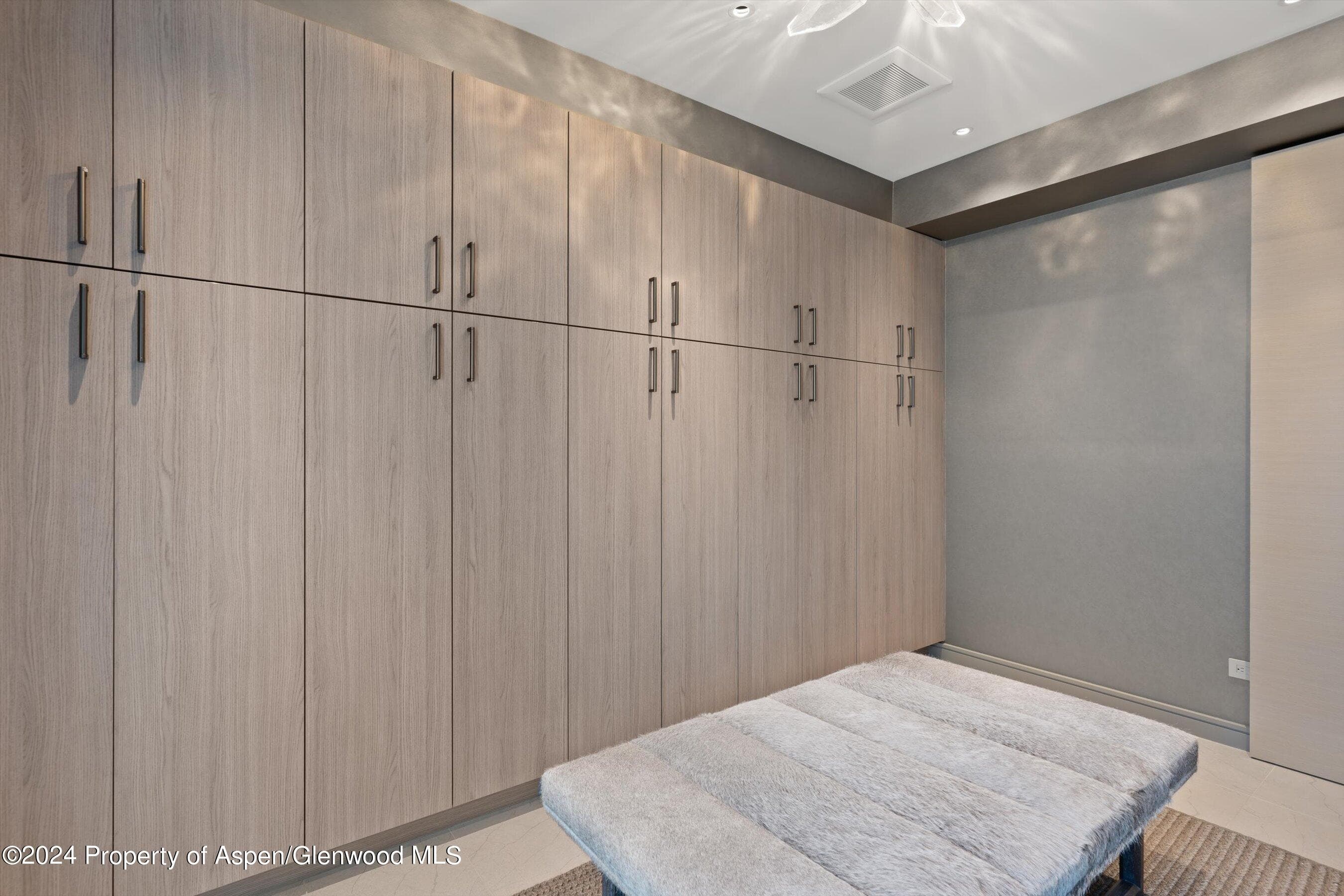 105 E Hallam Street, Aspen, CO 81611 - Photo 42