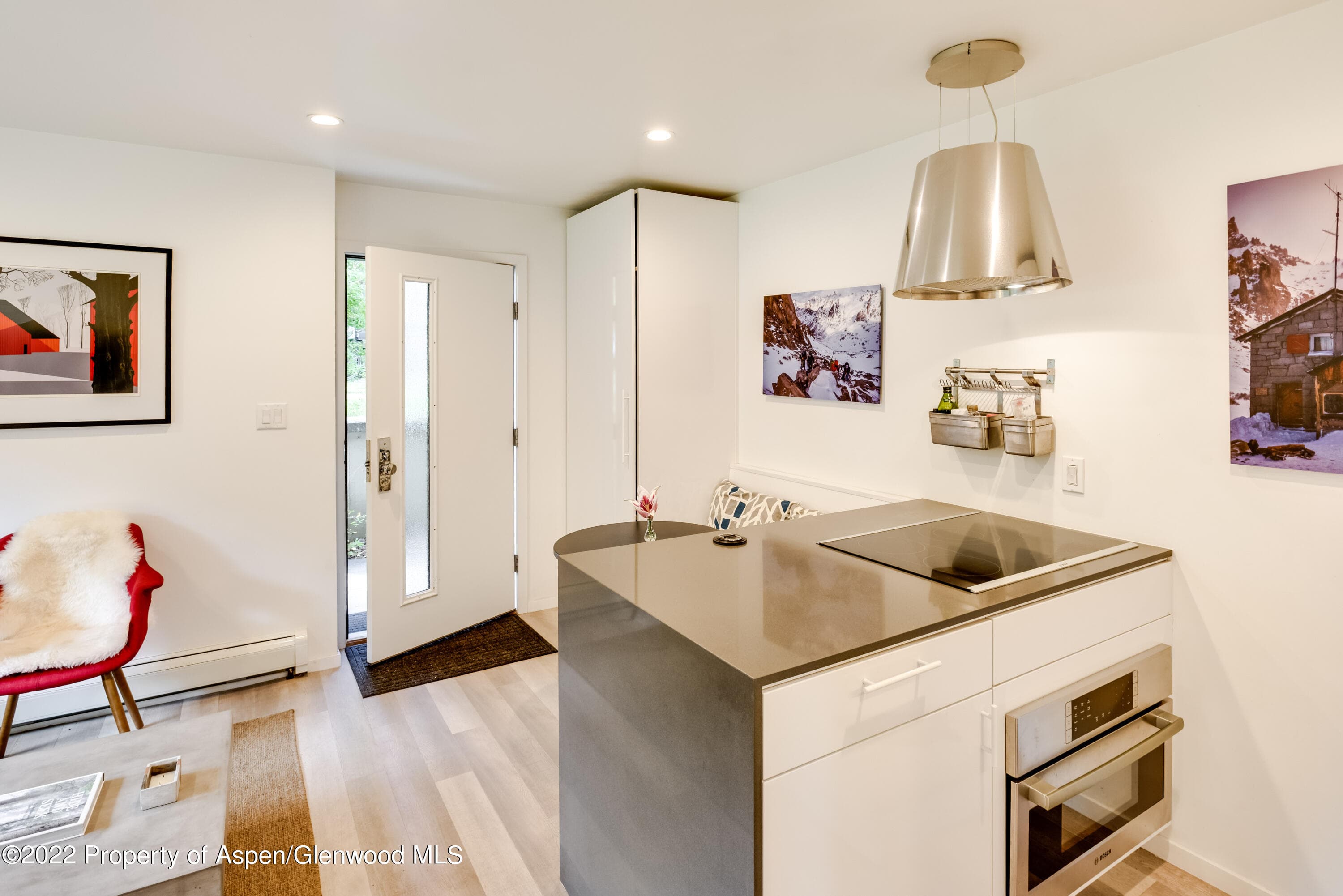 700 W Hopkins Avenue 6, Aspen, CO 81611 - Photo 2