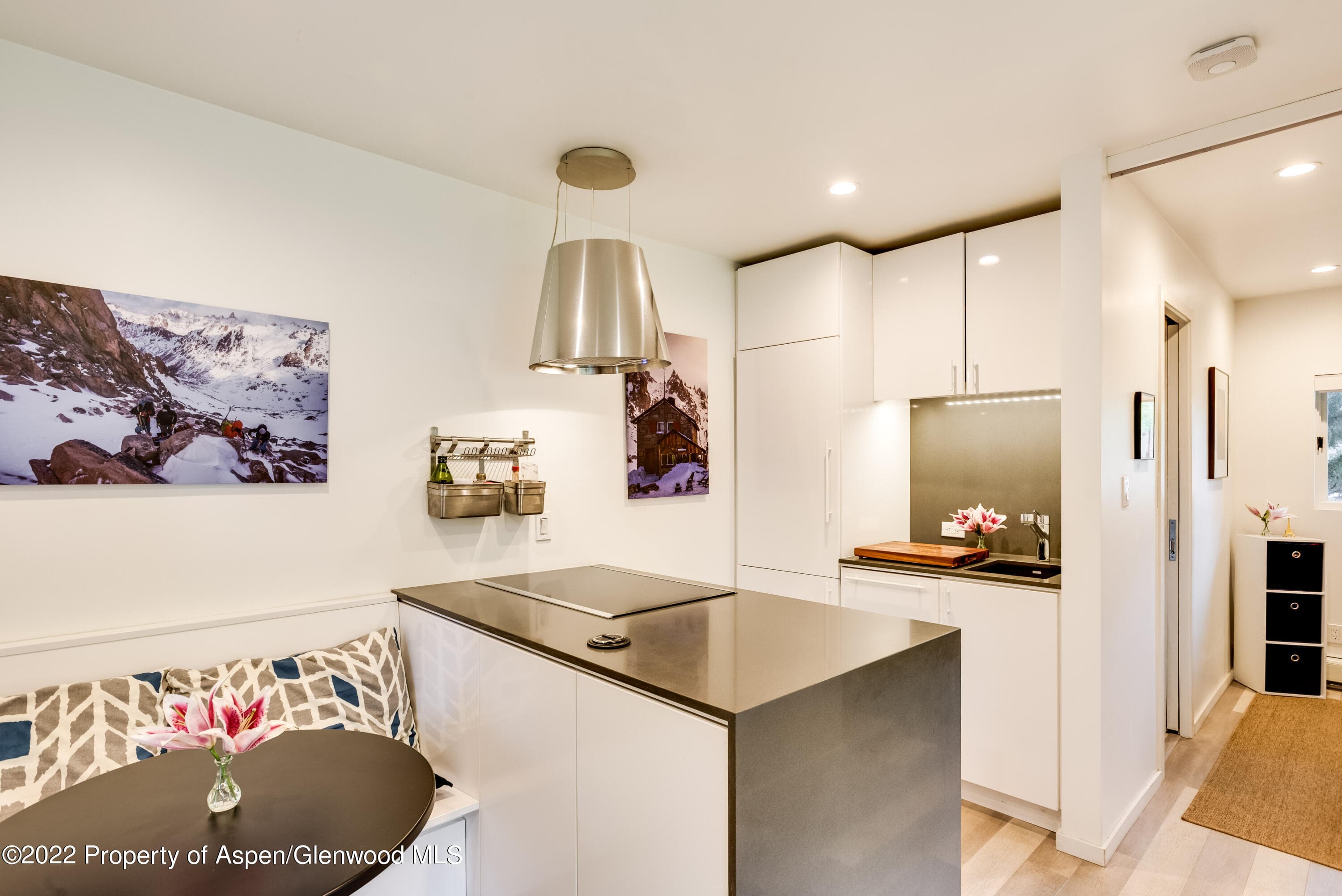 700 W Hopkins Avenue 6, Aspen, CO 81611 - Photo 3