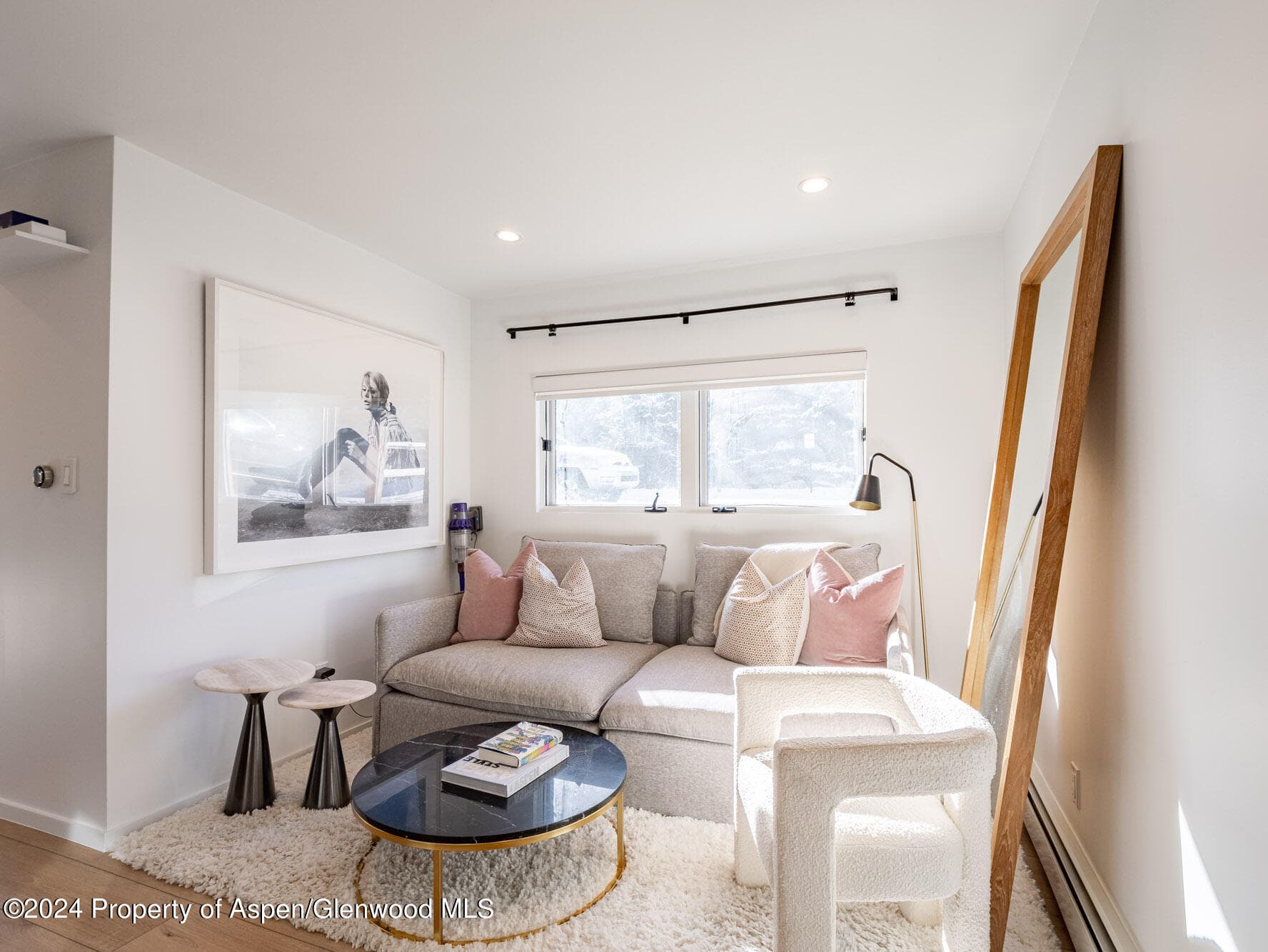 700 W Hopkins Avenue 6, Aspen, CO 81611 - Photo 7