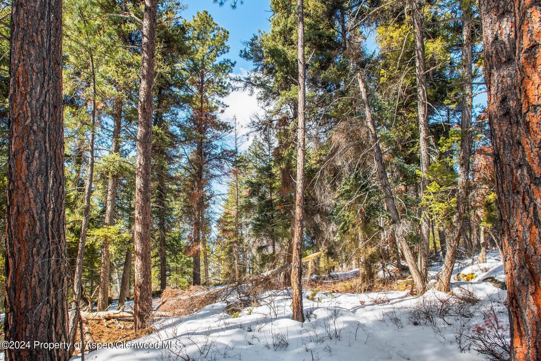 TBD W Village Drive Lot A-1, Marble, CO 81623 - Photo 12