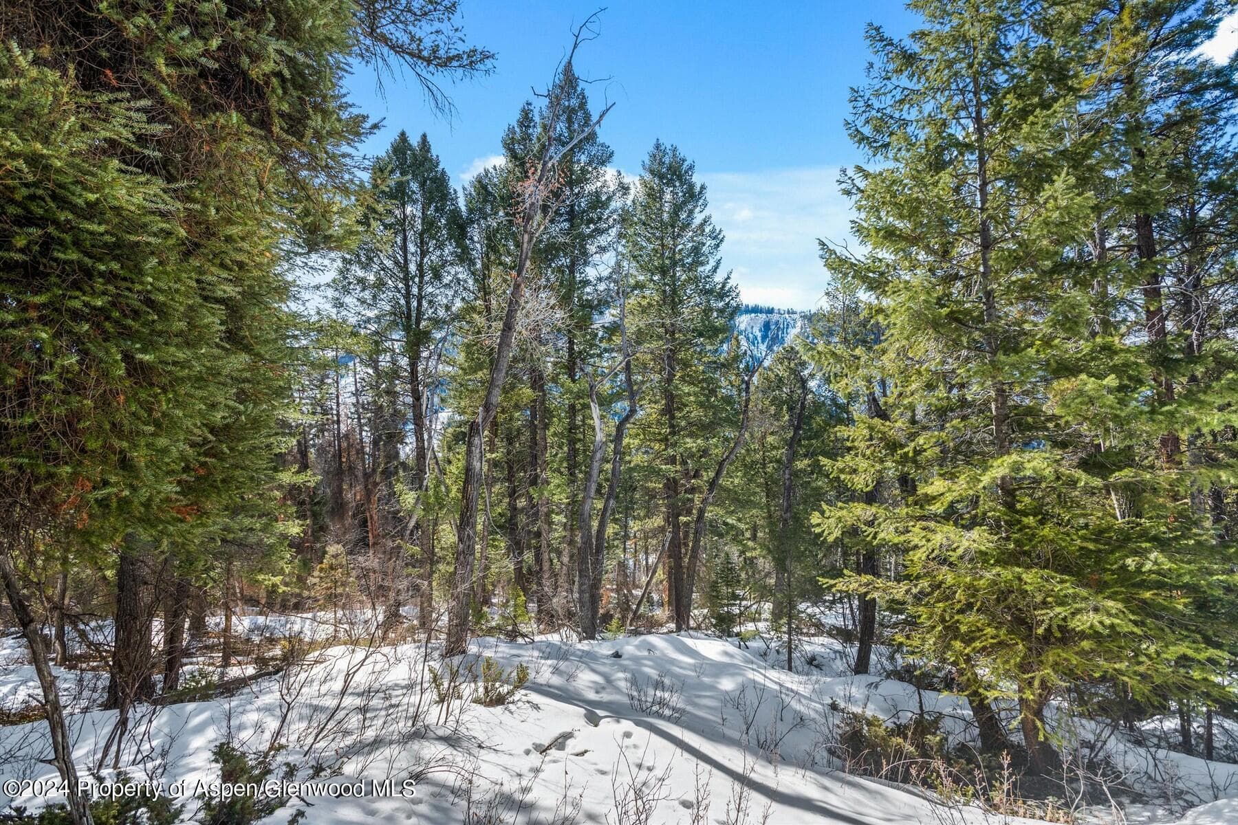 TBD W Village Drive Lot A-1, Marble, CO 81623 - Photo 15