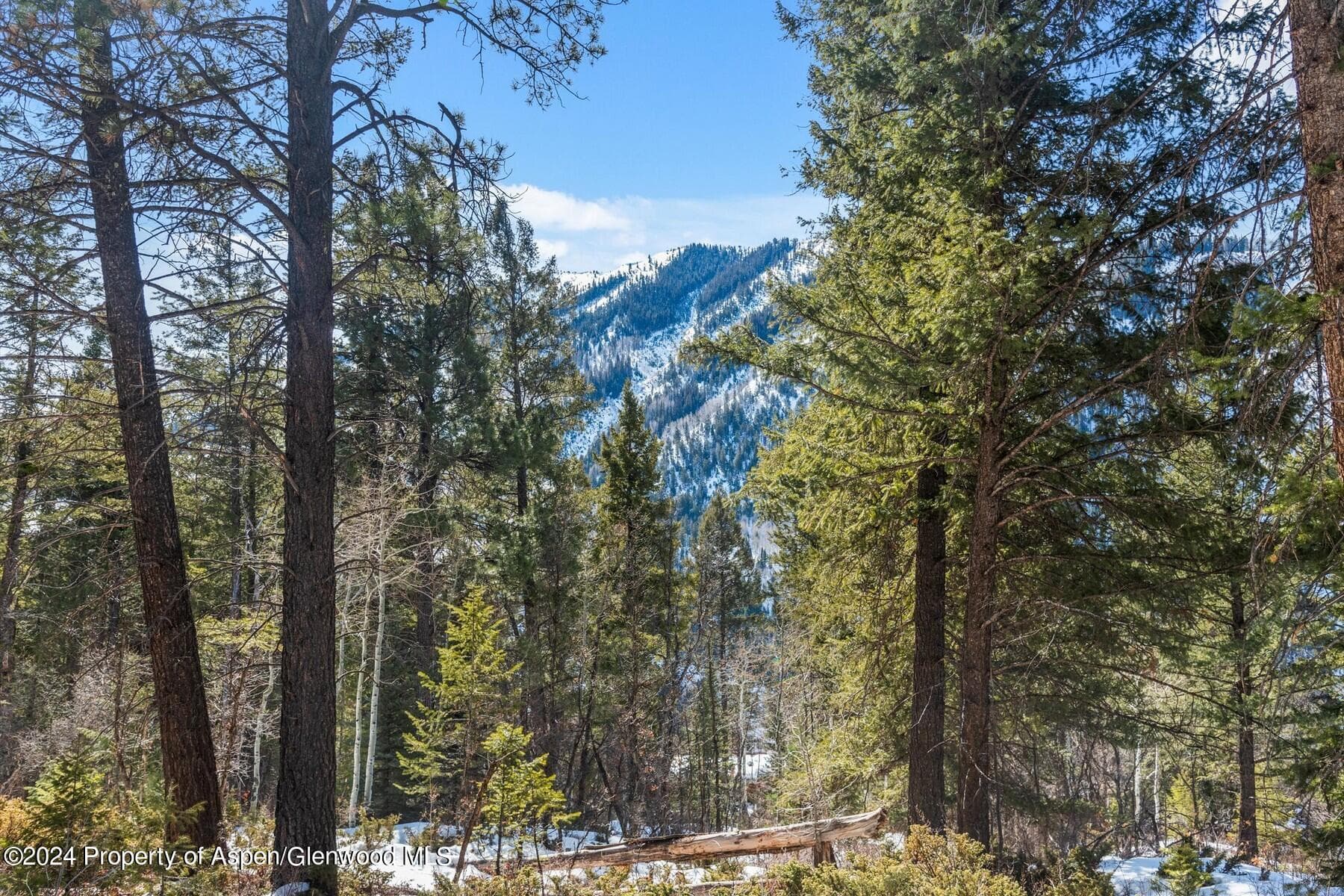 TBD W Village Drive Lot A-1, Marble, CO 81623 - Photo 2