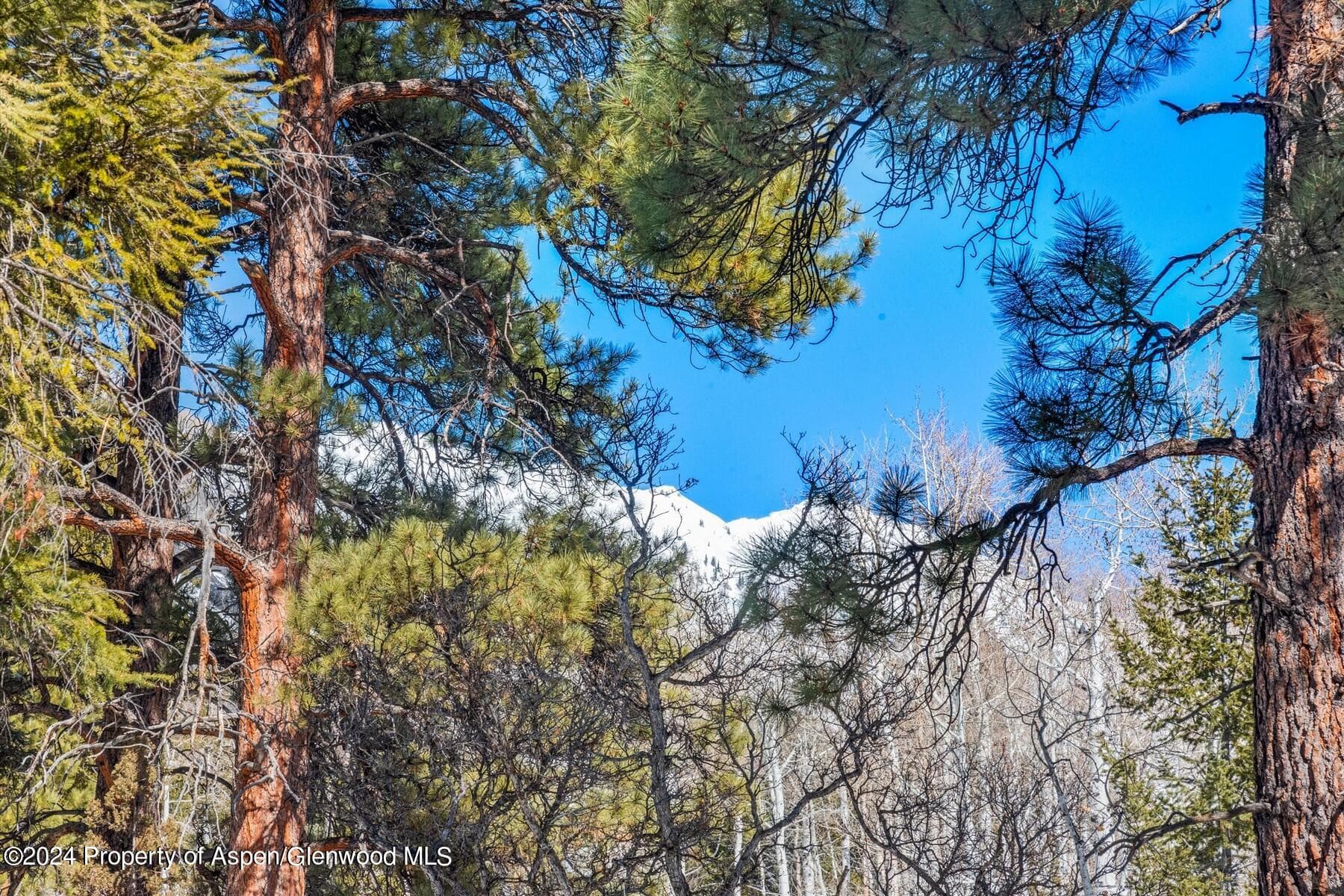 TBD W Village Drive Lot A-1, Marble, CO 81623 - Photo 32
