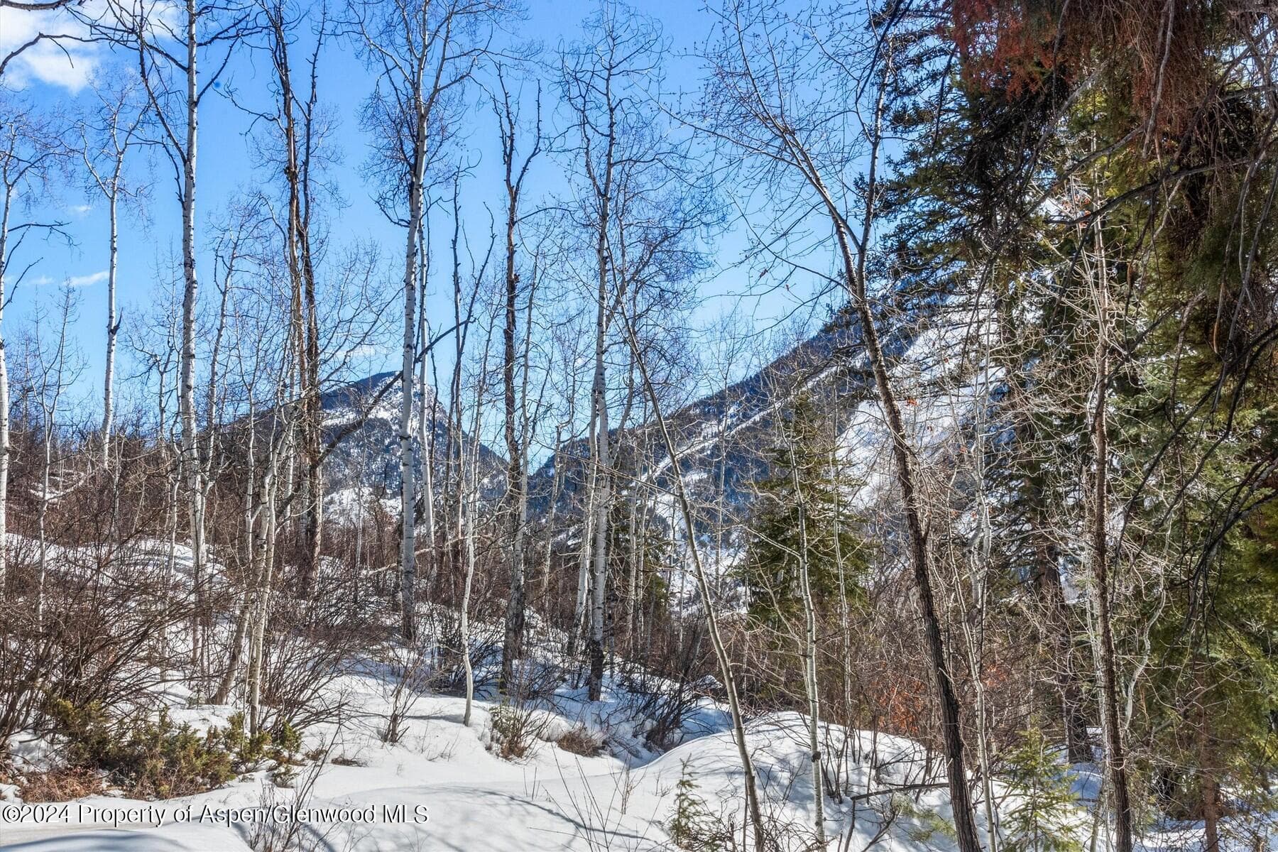 TBD W Village Drive Lot A-1, Marble, CO 81623 - Photo 35