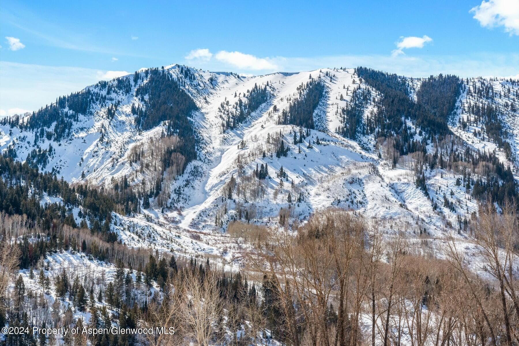 TBD W Village Drive Lot A-1, Marble, CO 81623 - Photo 38