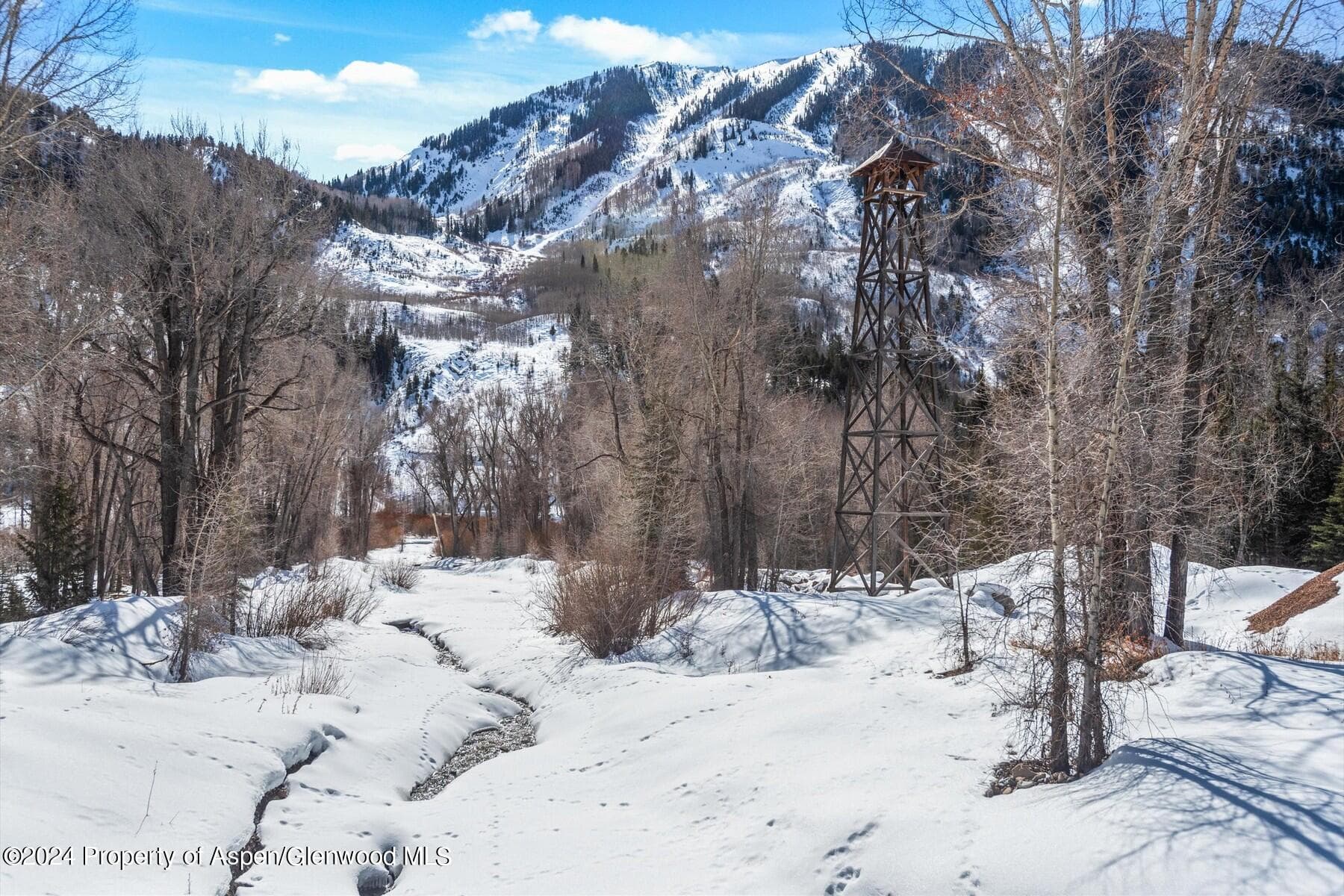 TBD W Village Drive Lot A-1, Marble, CO 81623 - Photo 41