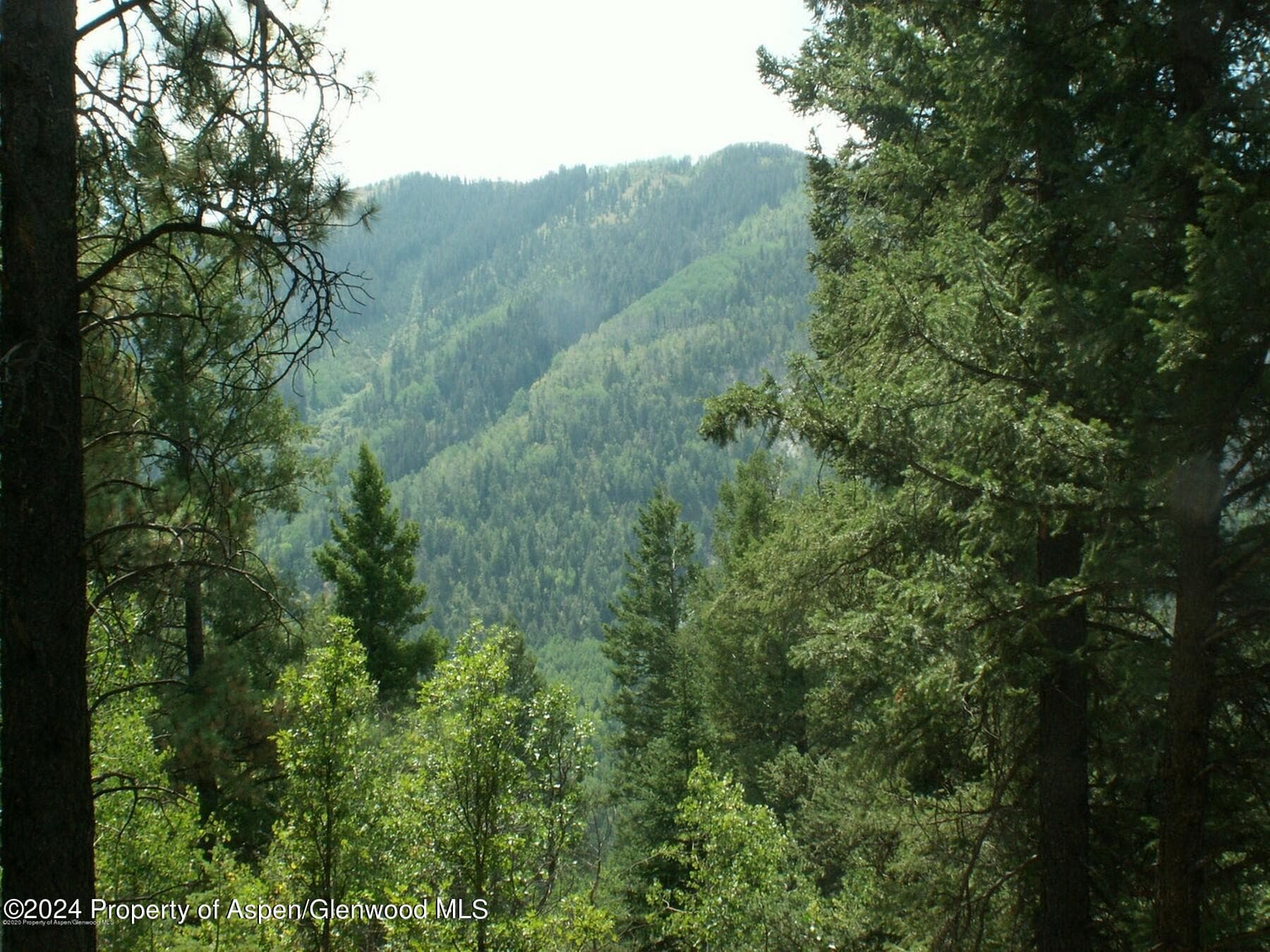 TBD W Village Drive Lot A-1, Marble, CO 81623 - Photo 4