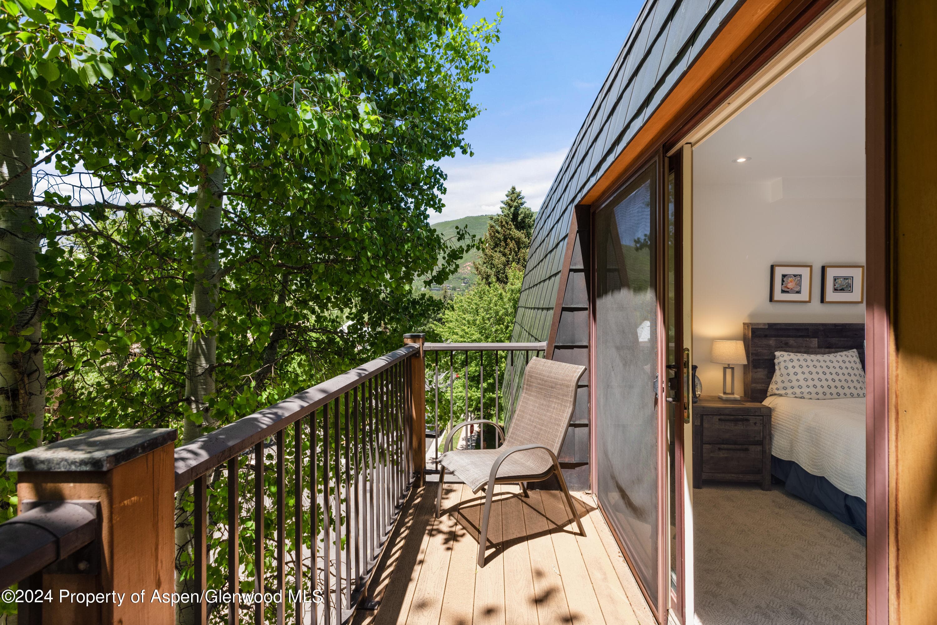 205 E Durant Avenue 3f, Aspen, CO 81611 - Photo 19
