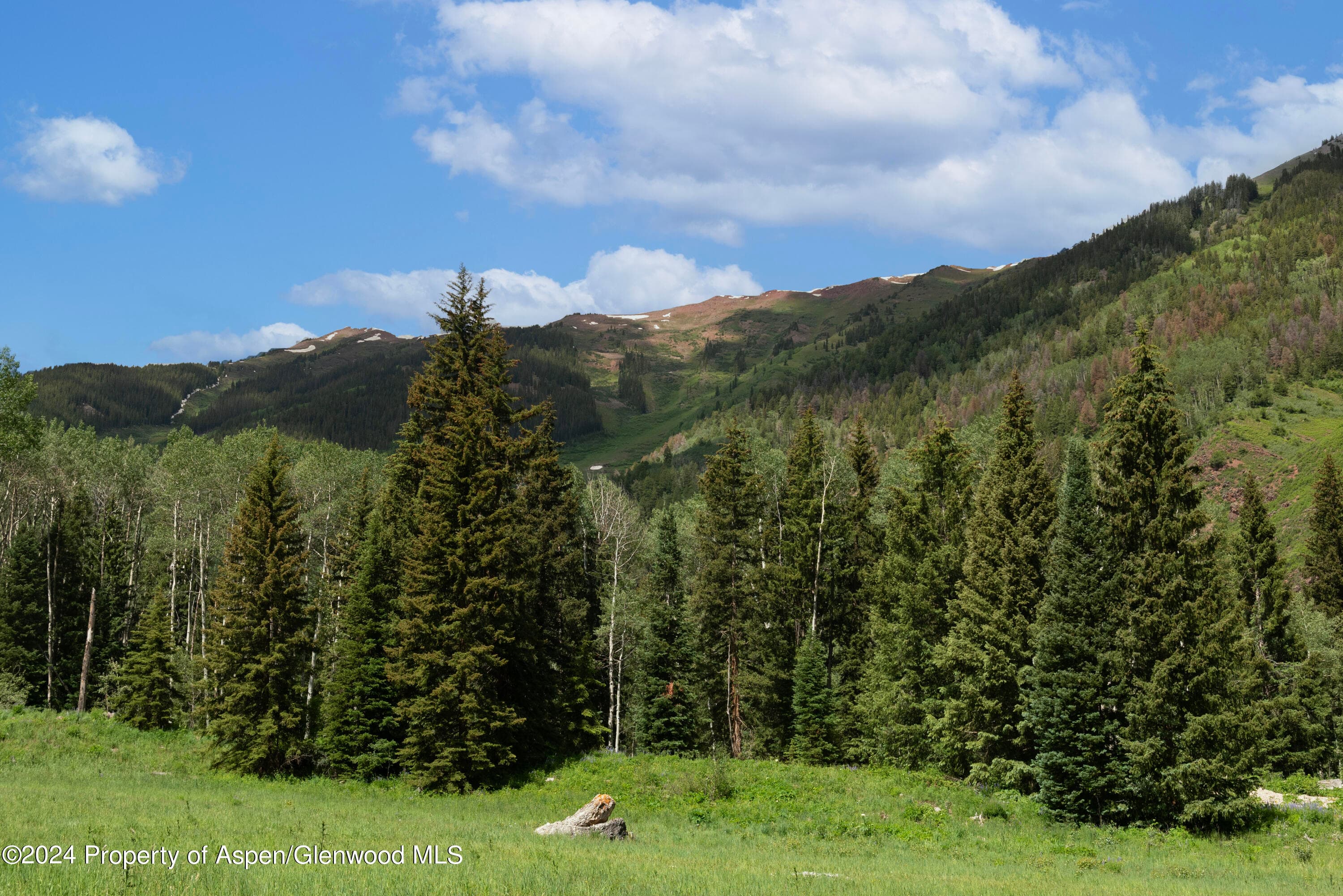 TBD Conundrum Creek Road, Aspen, CO 81611 - Photo 3