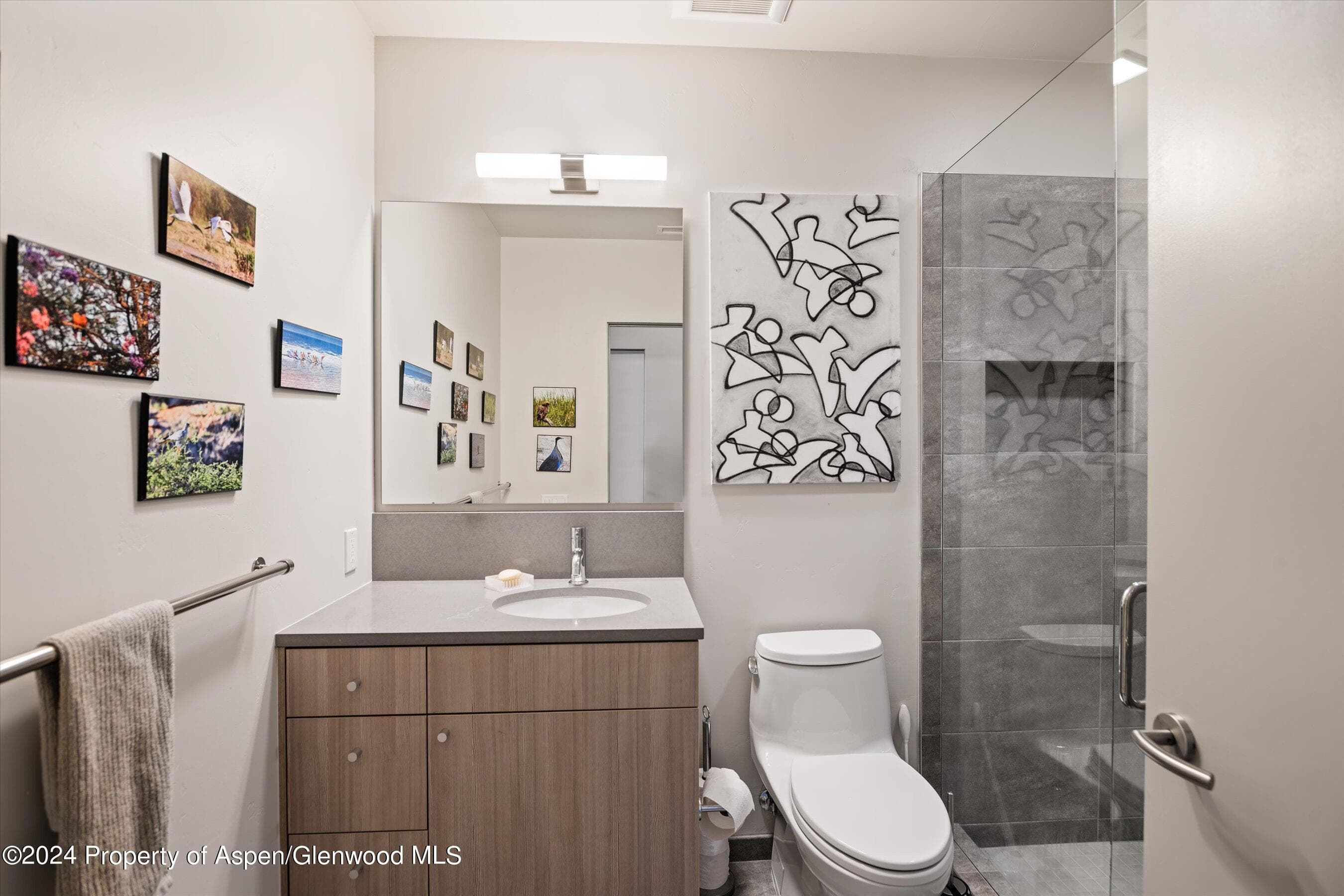 102 Evans Road 103, Basalt, CO 81621 - Photo 20
