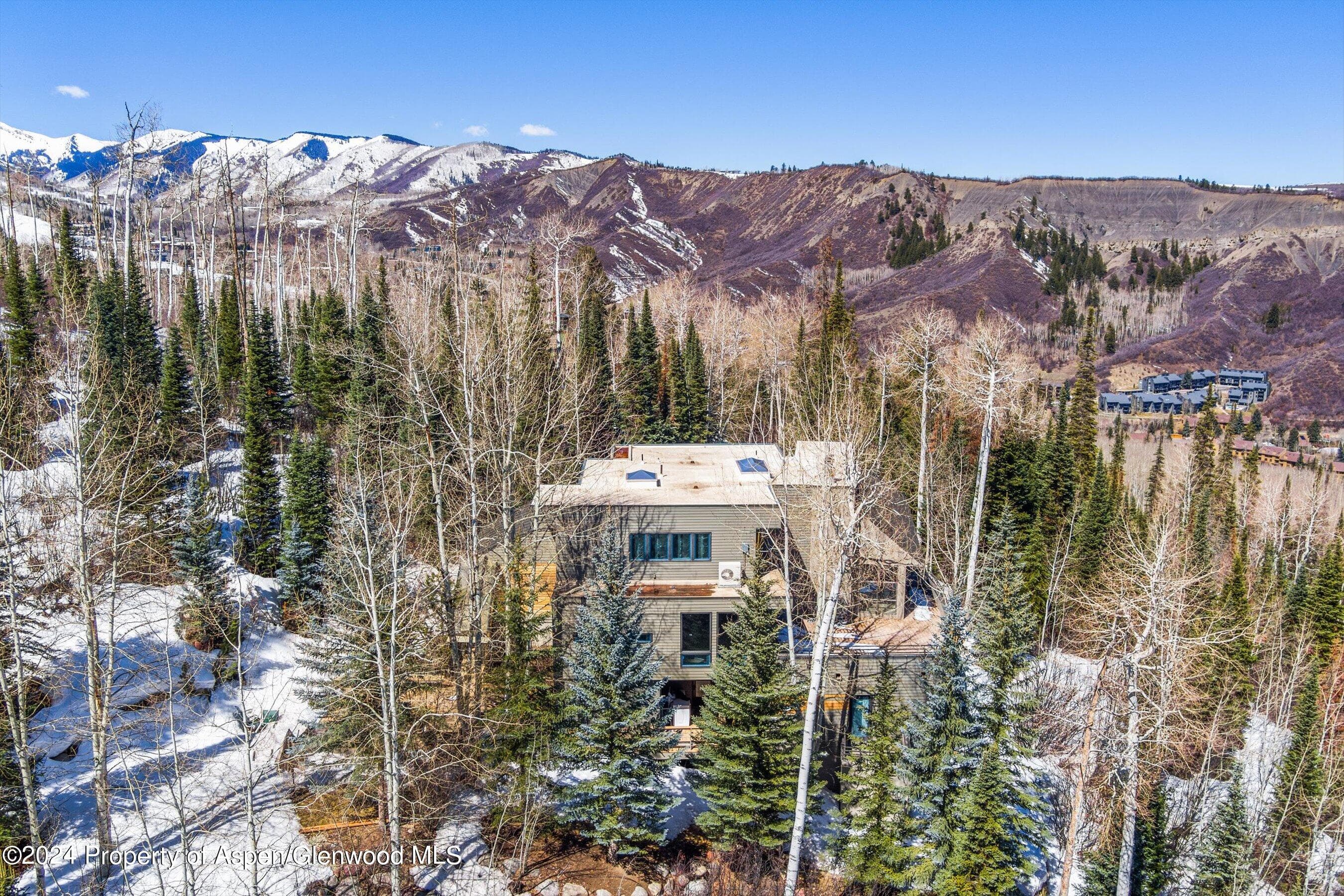 964 Faraway Road, Snowmass Village, CO 81615 - Photo 13