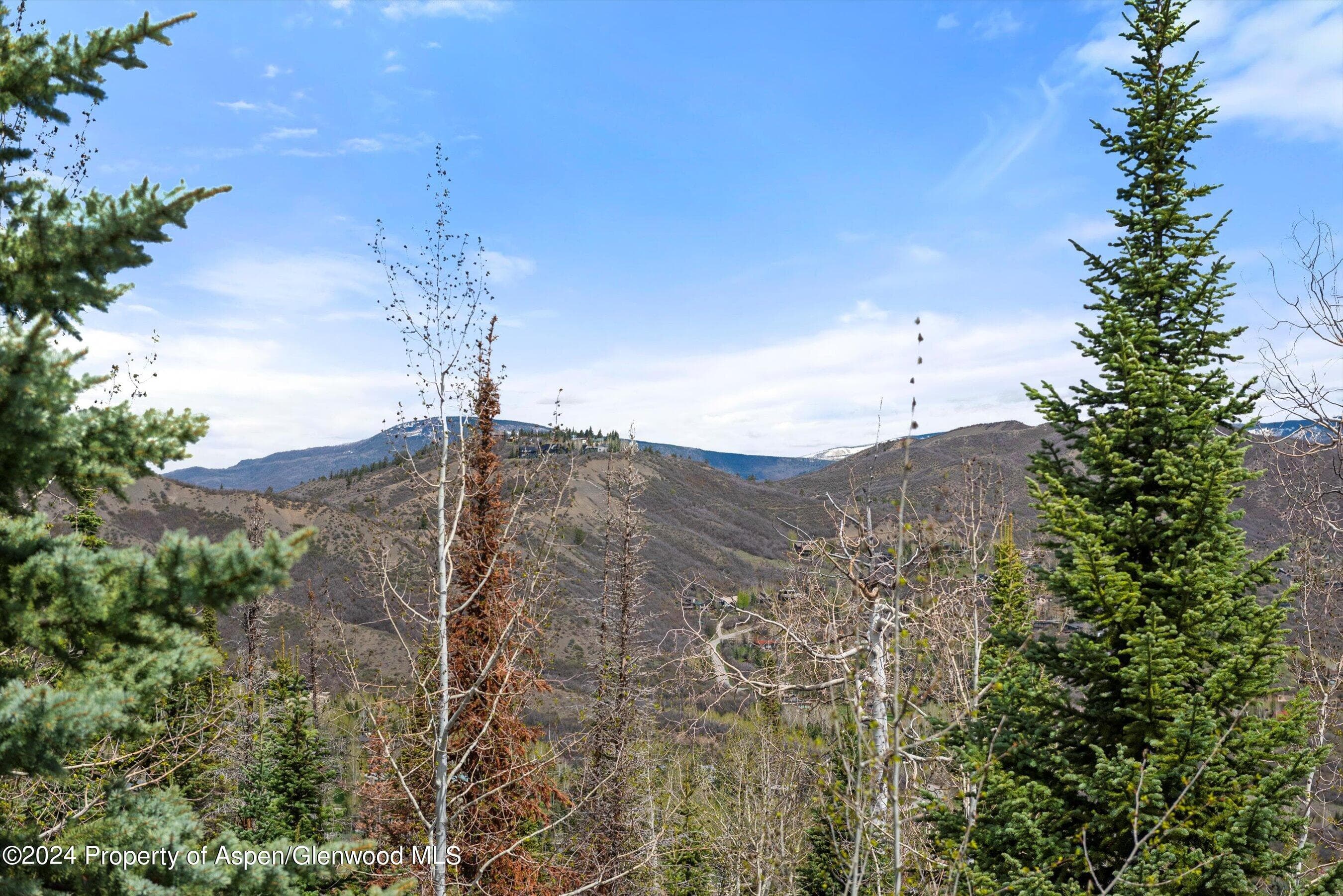 964 Faraway Road, Snowmass Village, CO 81615 - Photo 56