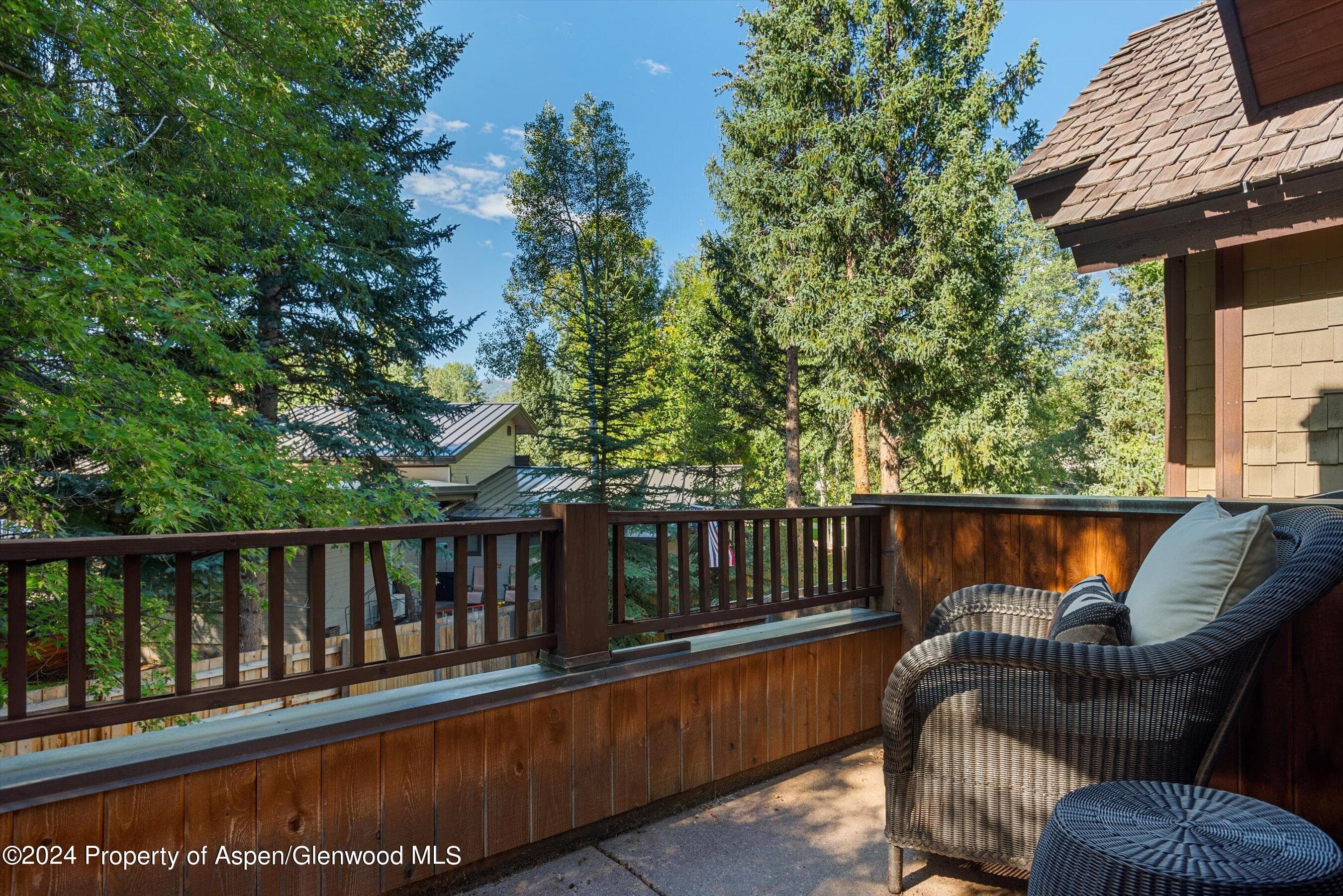 1232 Mountain View Drive B, Aspen, CO 81611 - Photo 19