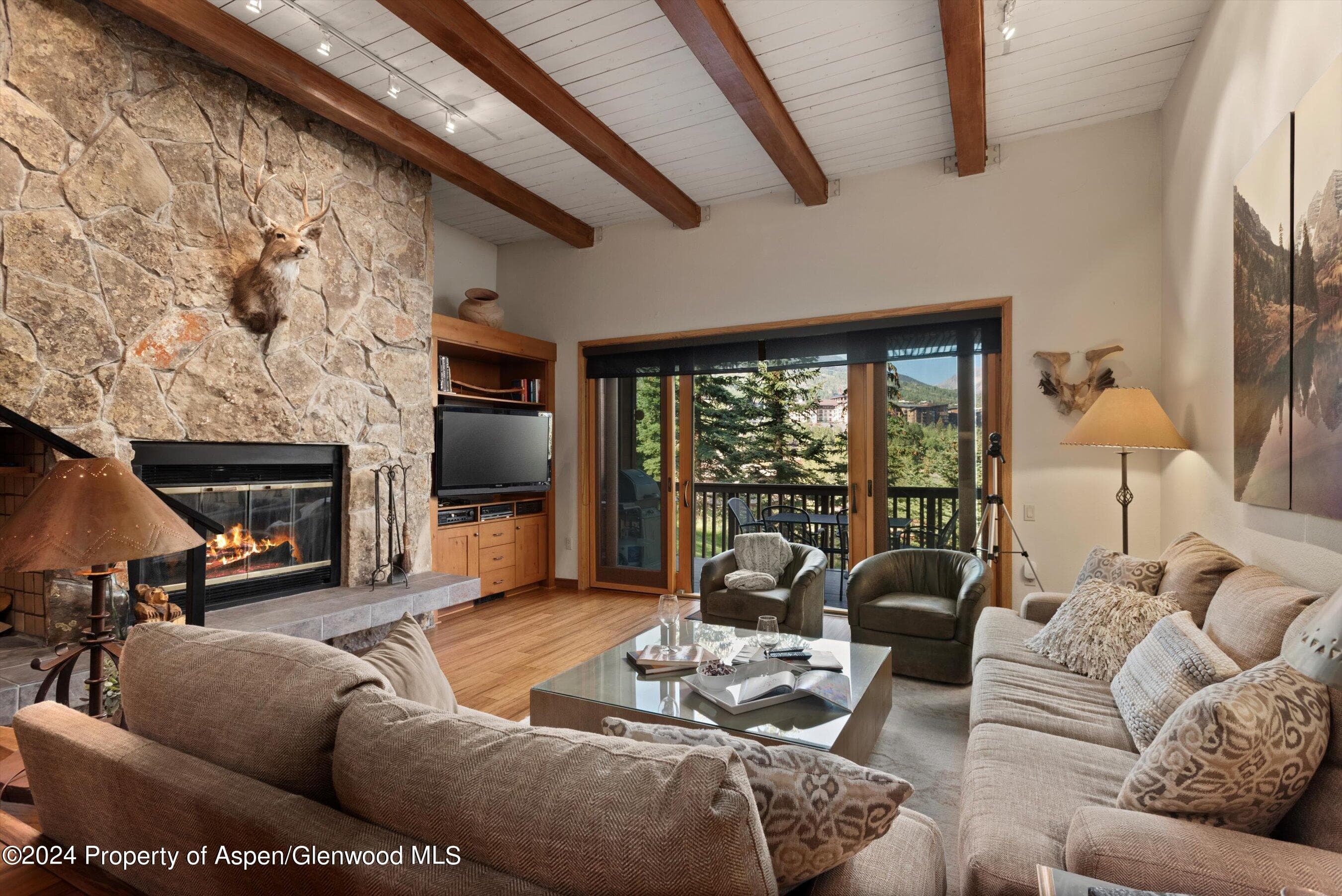 229 Faraway Road #34, Snowmass Village, CO 81615 - Photo 2