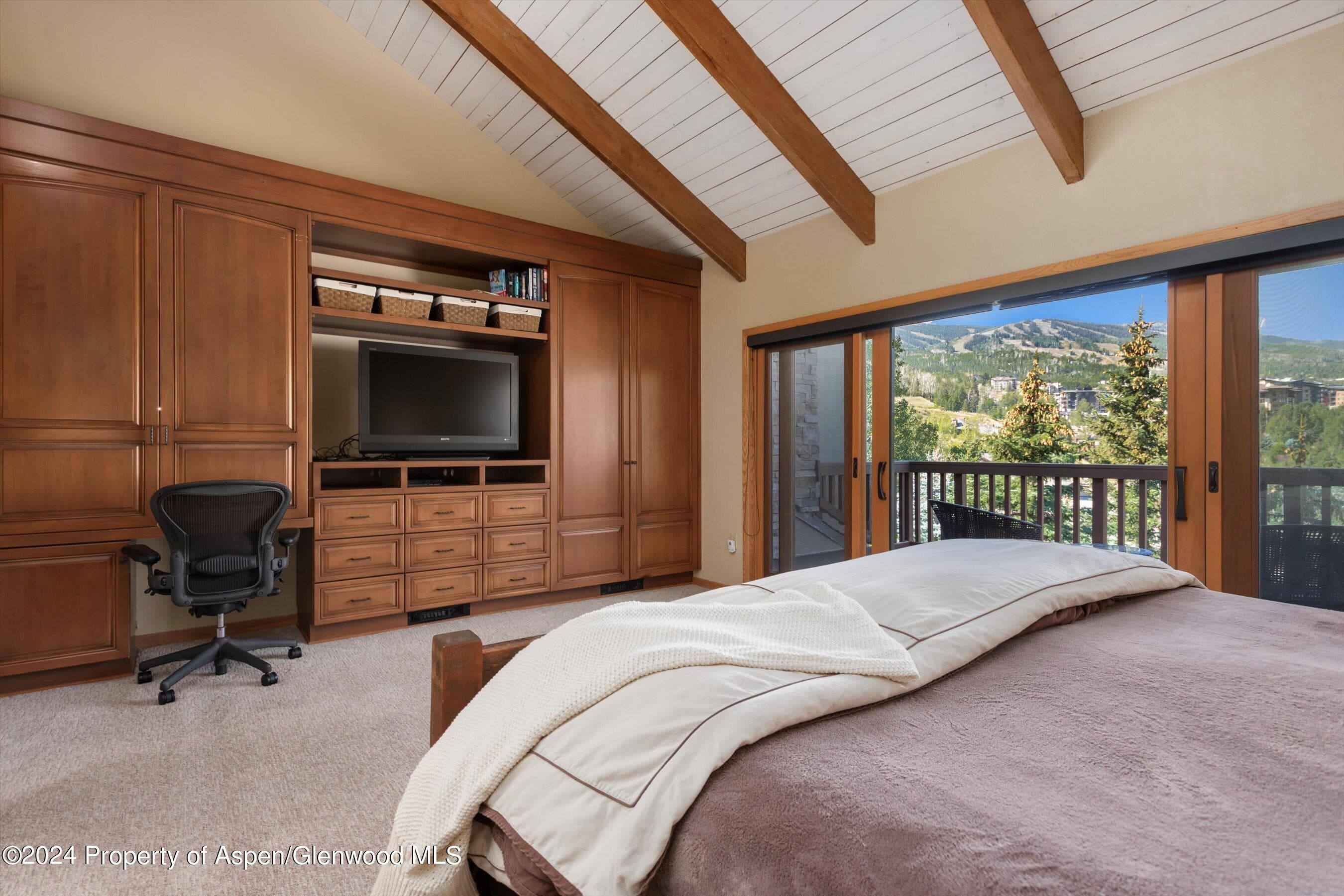 229 Faraway Road #34, Snowmass Village, CO 81615 - Photo 11