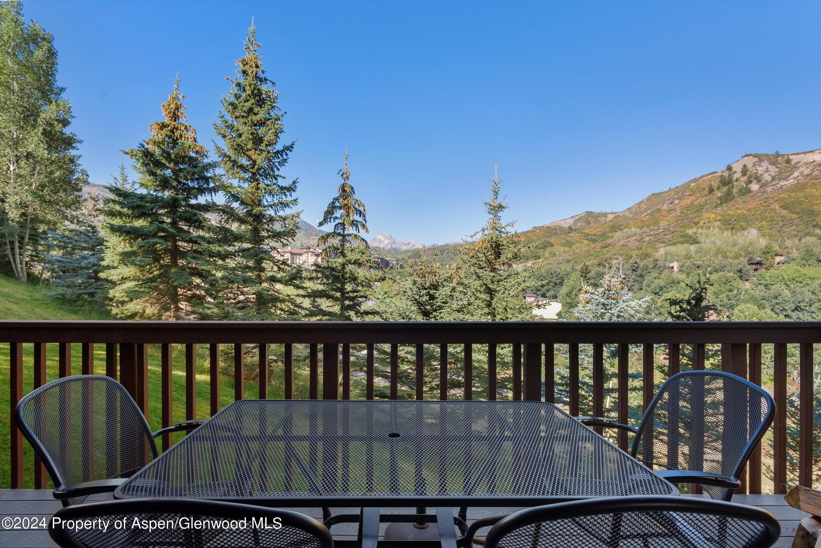 229 Faraway Road #34, Snowmass Village, CO 81615 - Photo 29