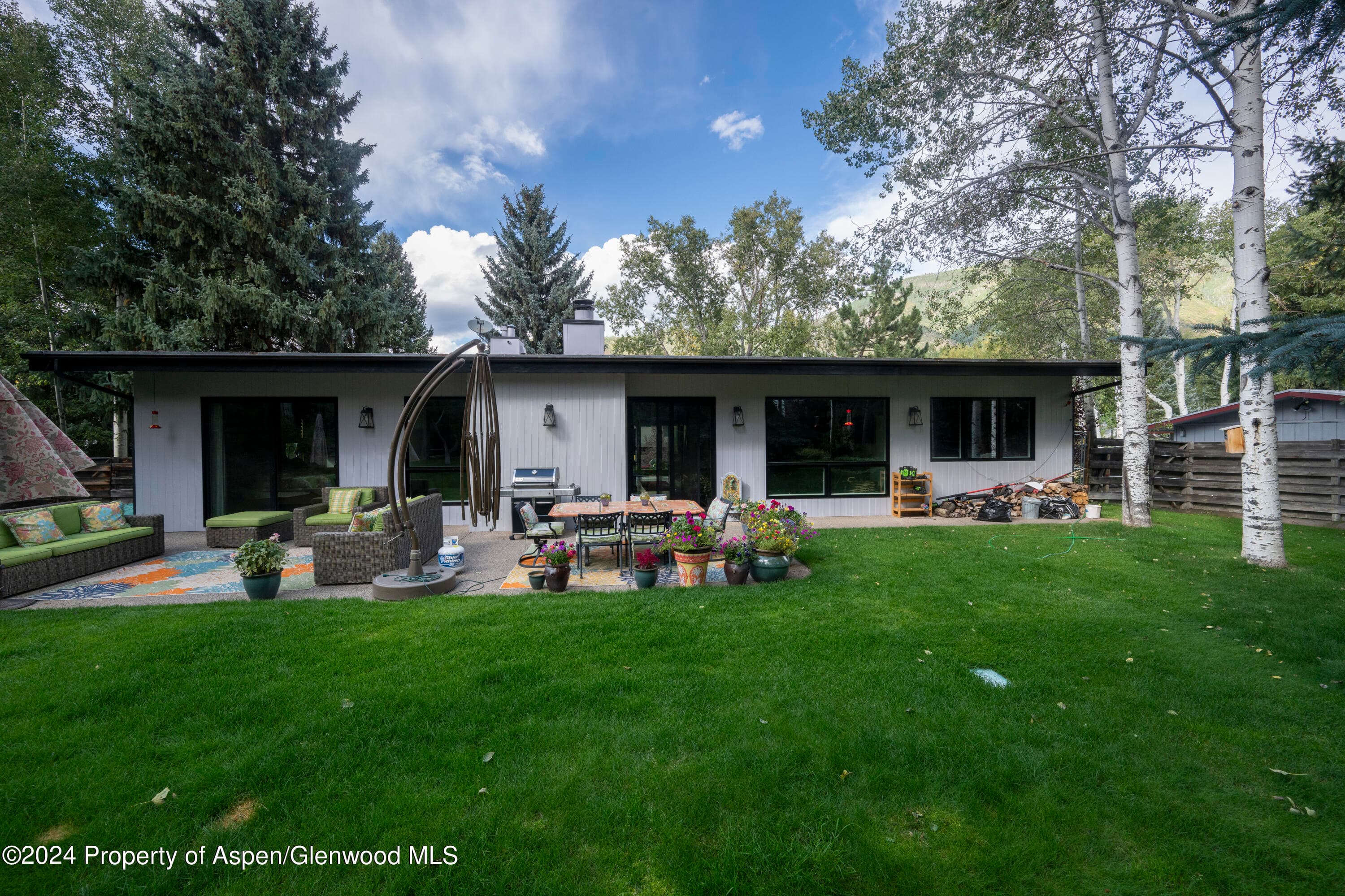 1325 MOUNTAIN VIEW Drive, Aspen, CO 81611 - Photo 19