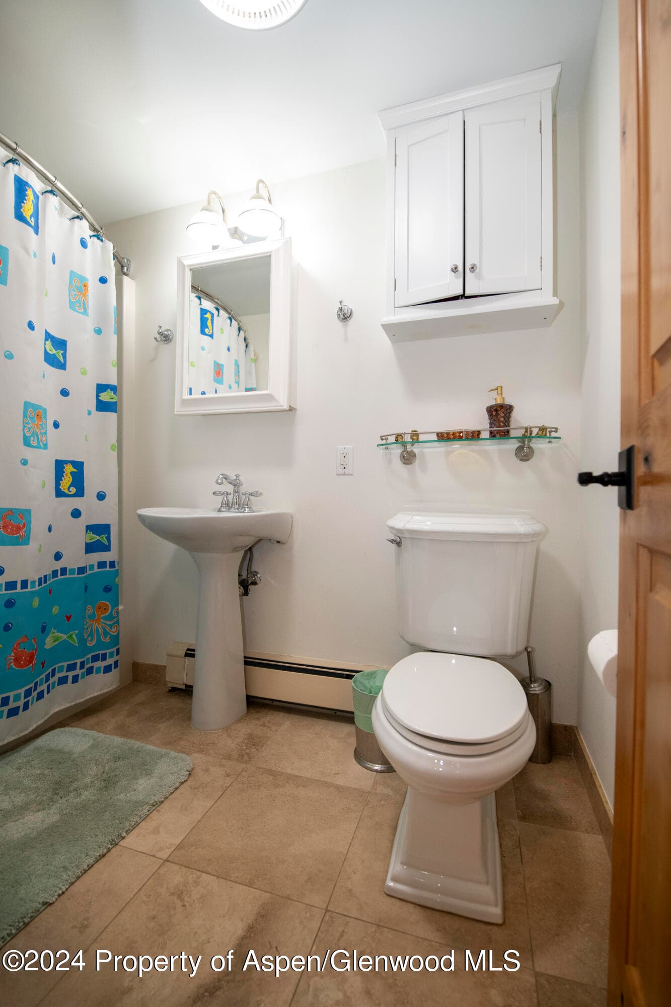 1325 MOUNTAIN VIEW Drive, Aspen, CO 81611 - Photo 18