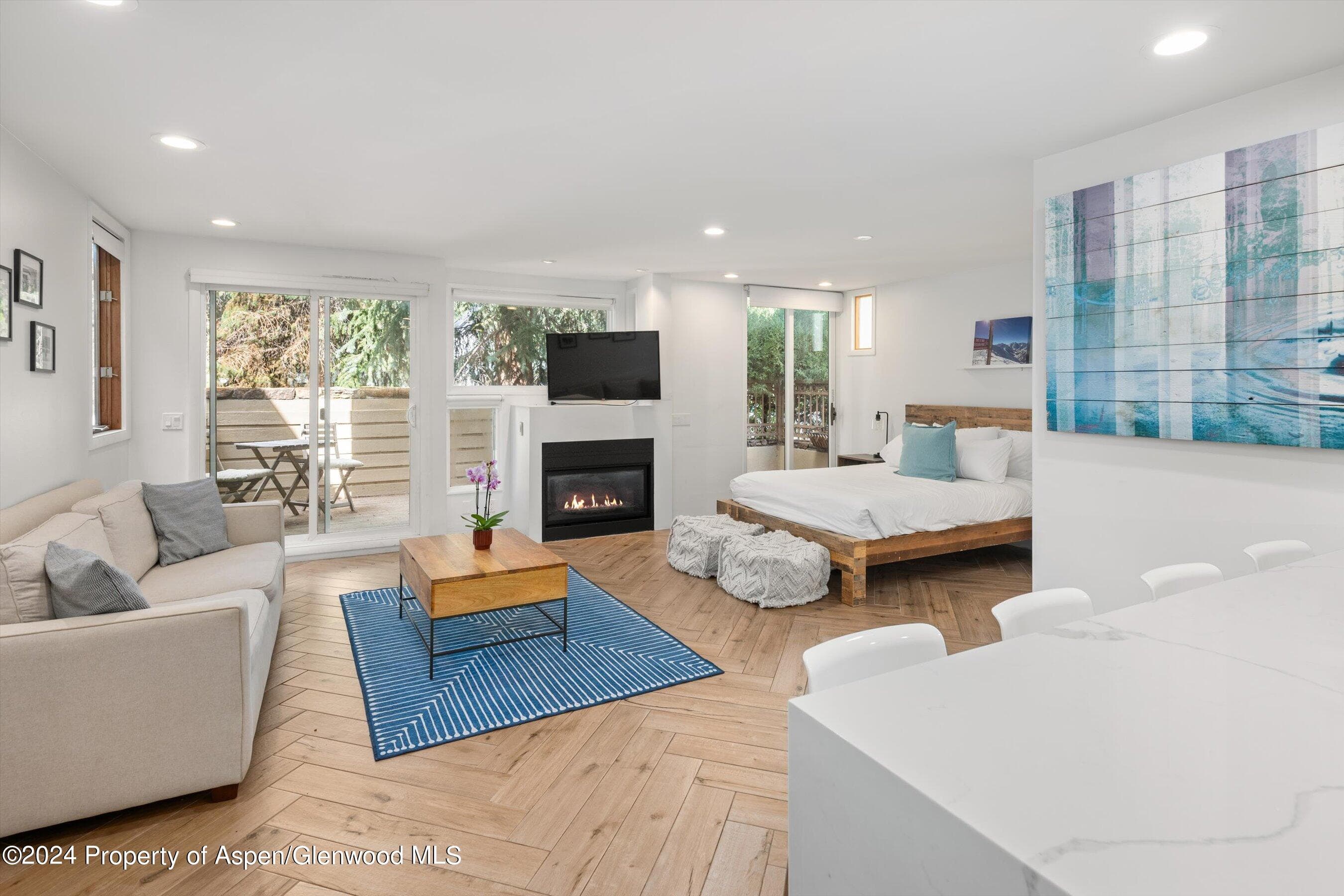 819 E Hyman Avenue 3, Aspen, CO 81611 - Photo 5
