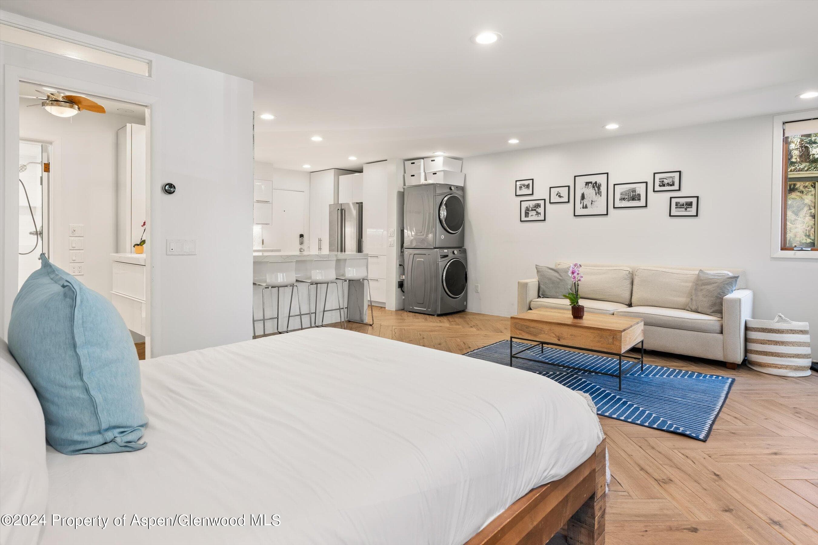 819 E Hyman Avenue 3, Aspen, CO 81611 - Photo 7