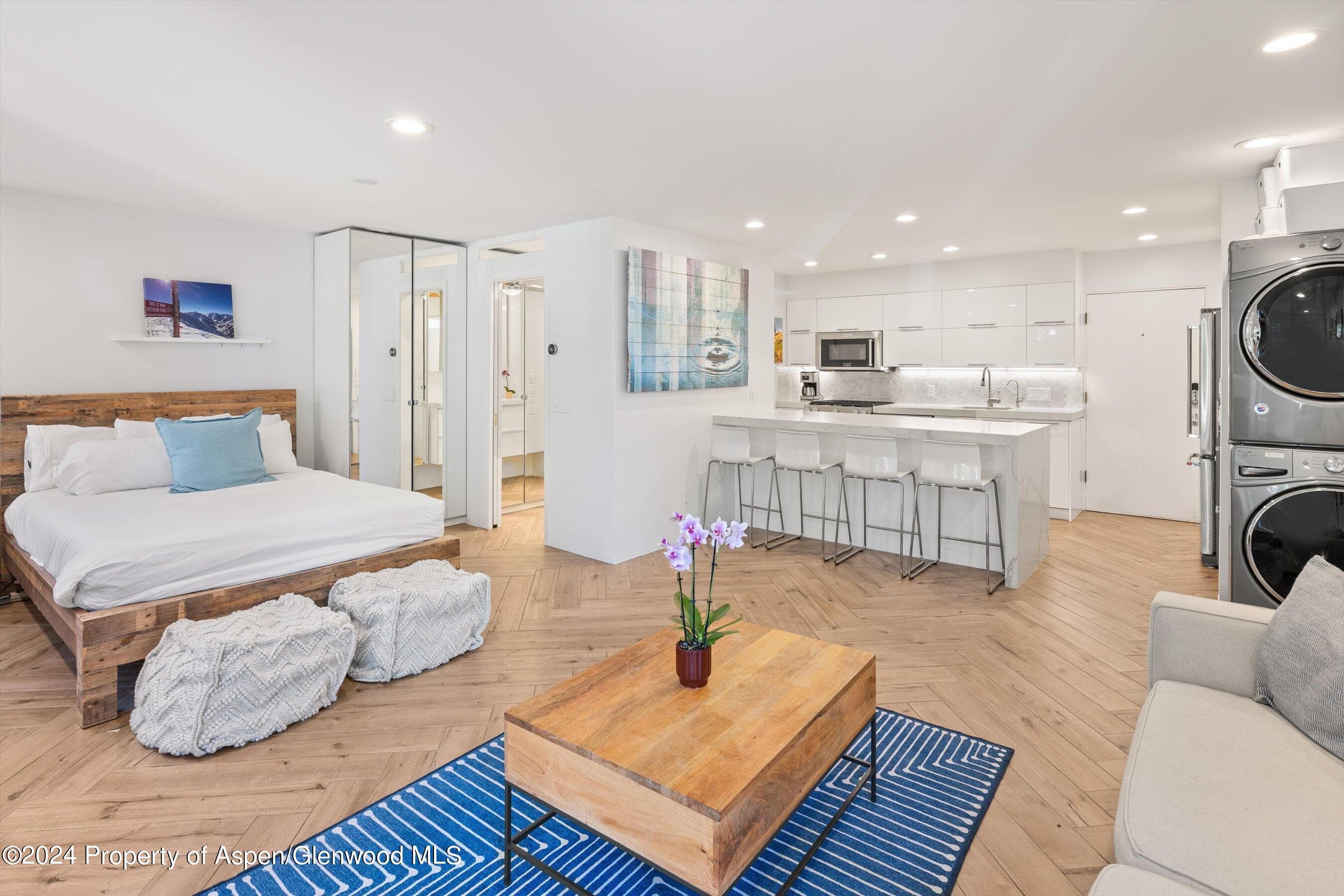 819 E Hyman Avenue 3, Aspen, CO 81611 - Photo 3