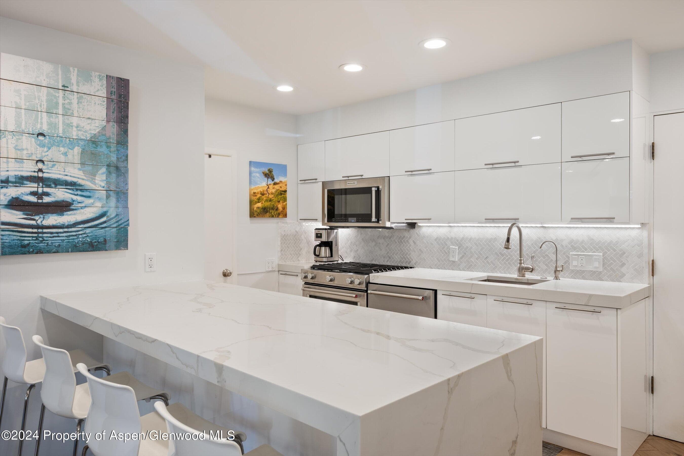 819 E Hyman Avenue 3, Aspen, CO 81611 - Photo 8