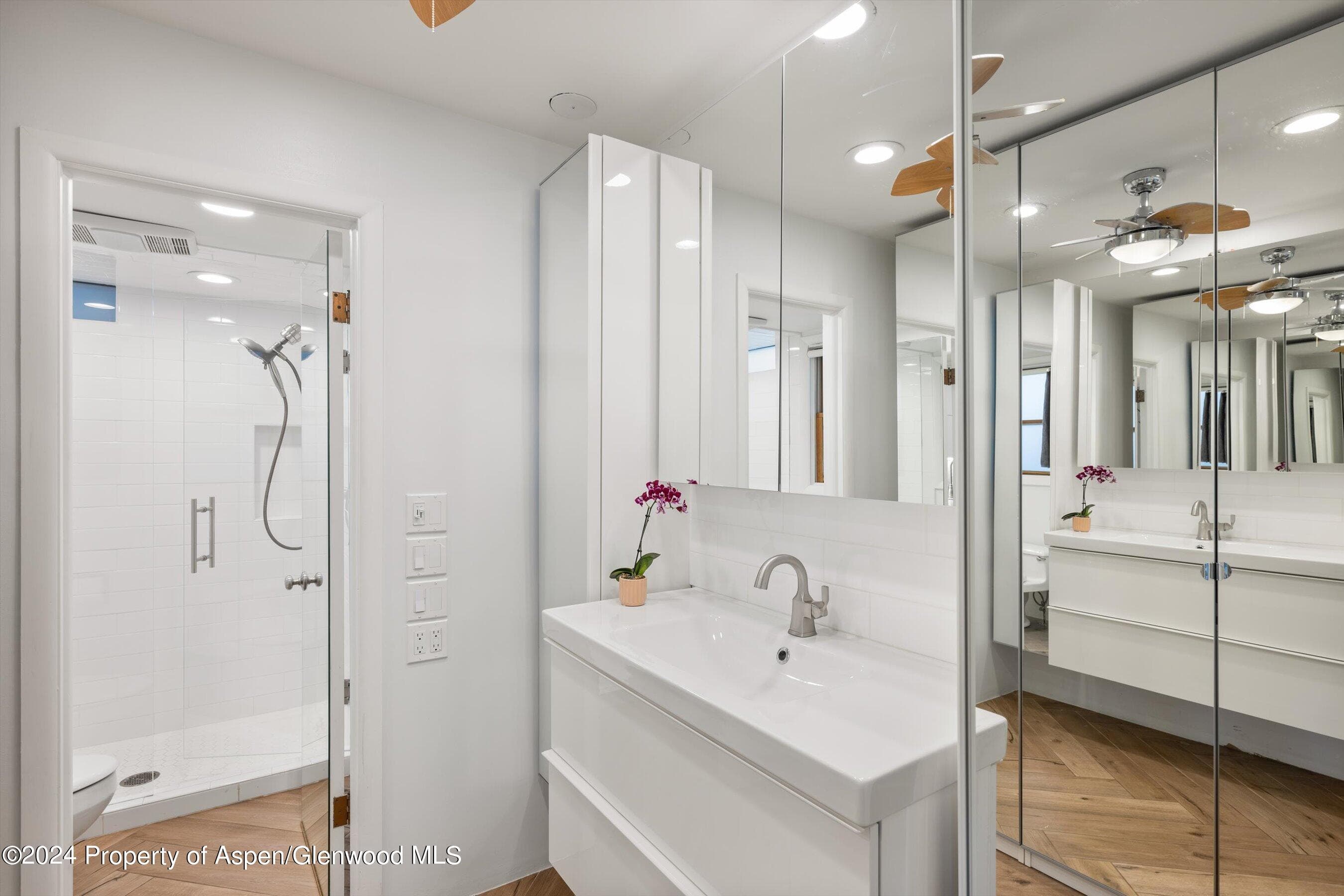 819 E Hyman Avenue 3, Aspen, CO 81611 - Photo 10