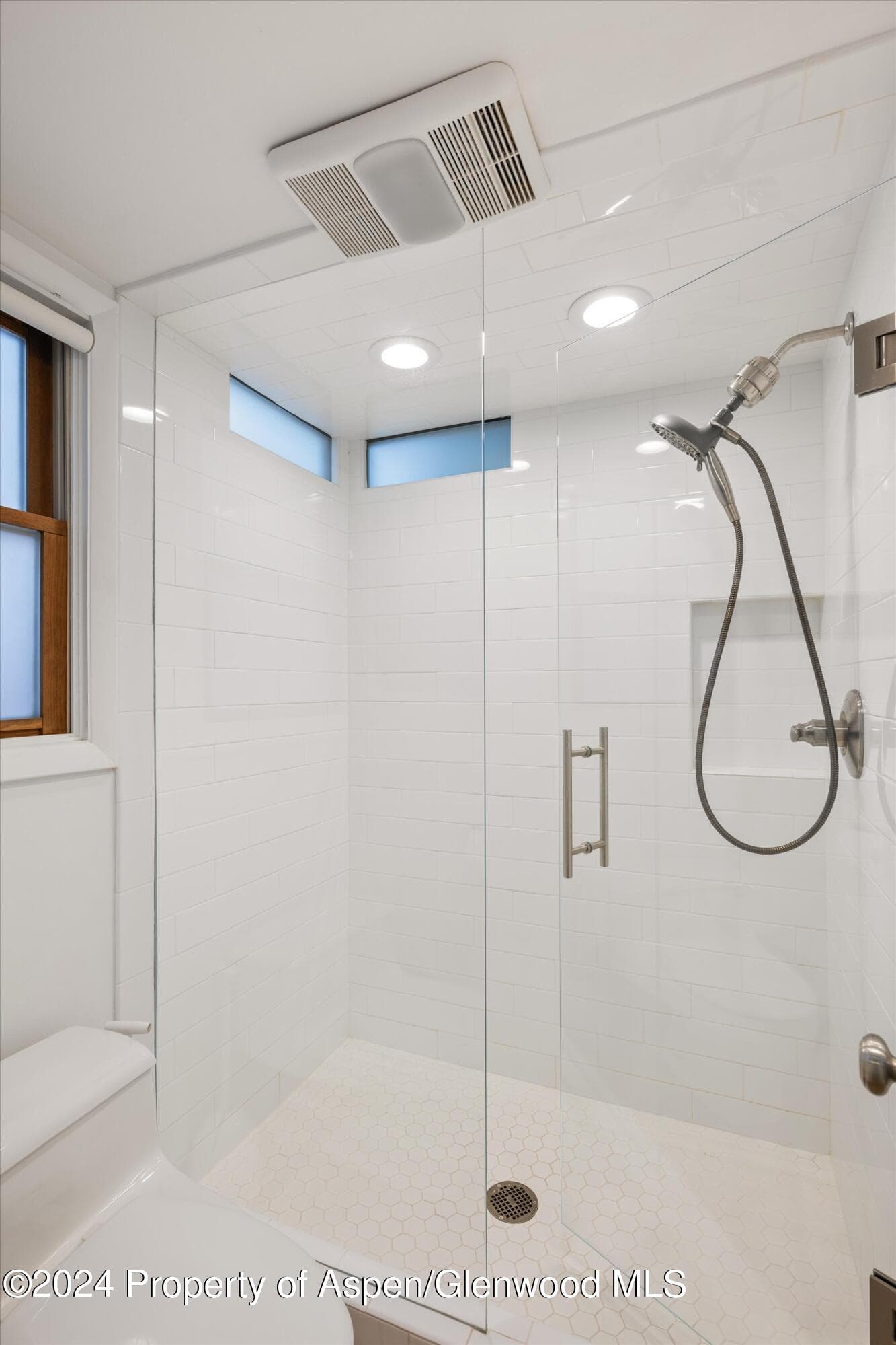 819 E Hyman Avenue 3, Aspen, CO 81611 - Photo 11