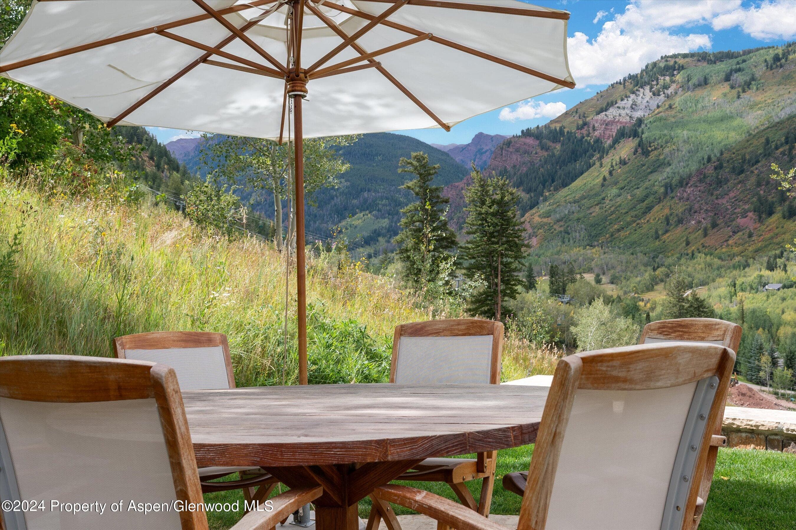 465 Thunderbowl Lane, Aspen, CO 81611 - Photo 62