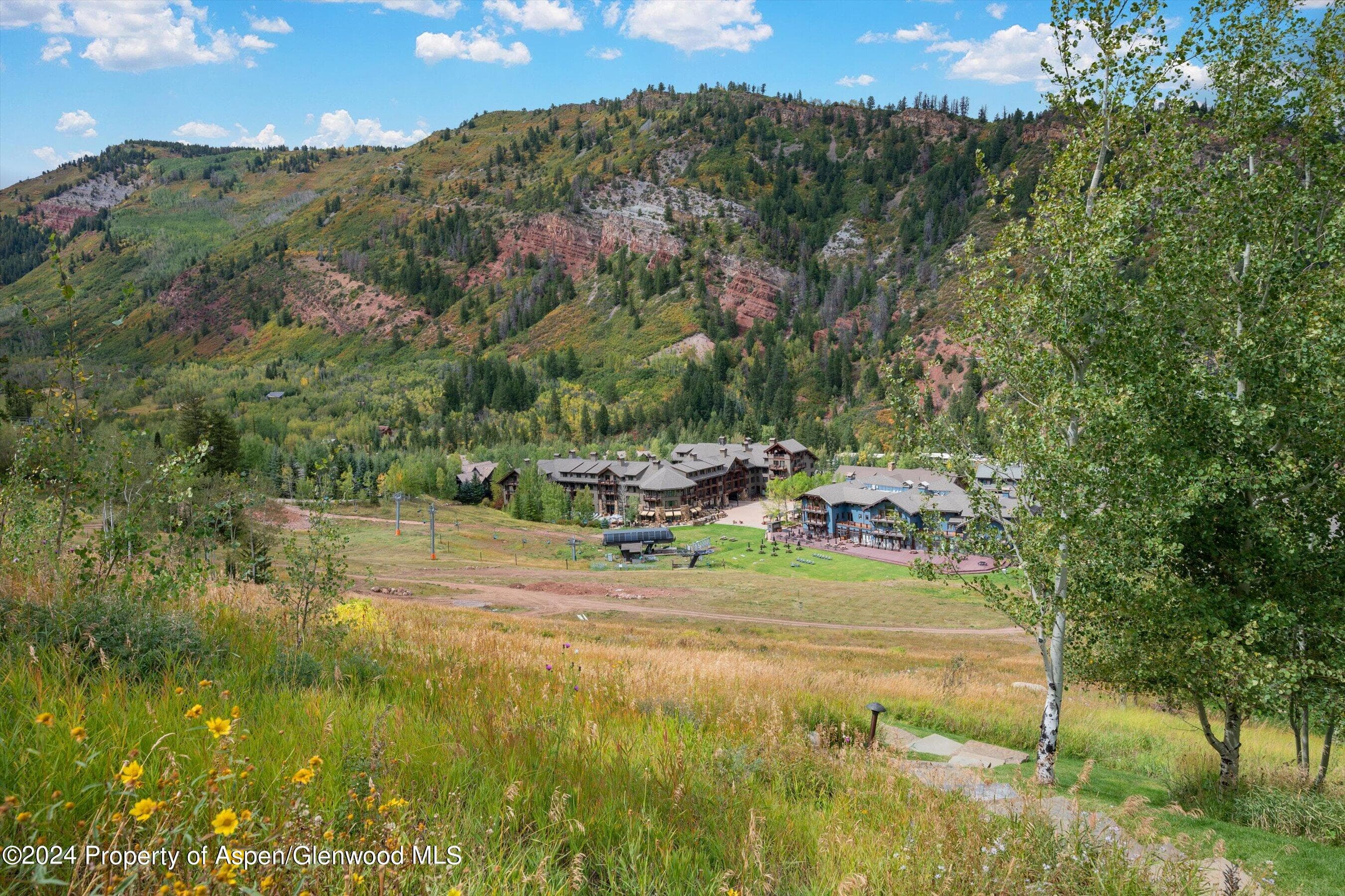 465 Thunderbowl Lane, Aspen, CO 81611 - Photo 68