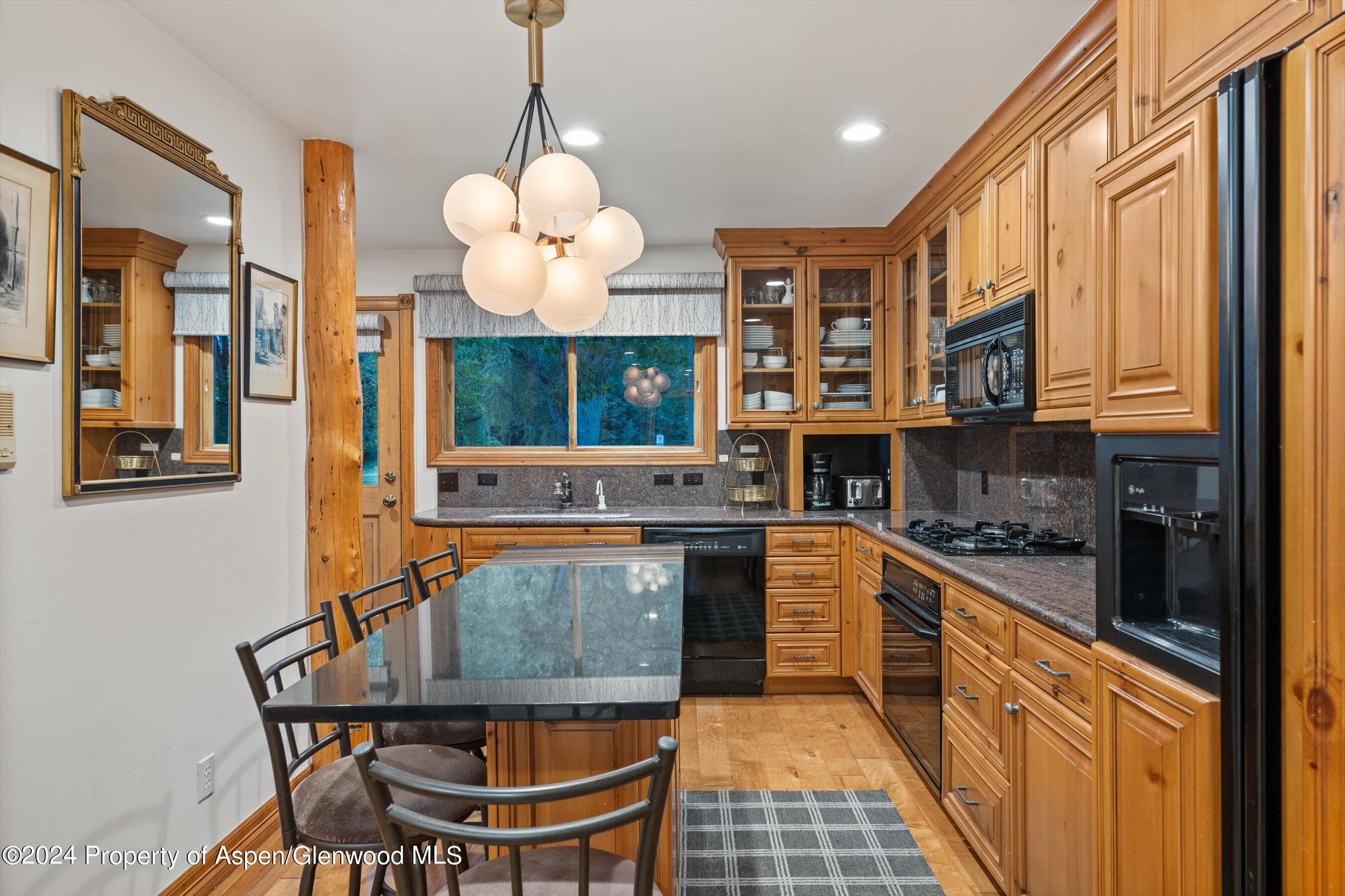 124 E Durant Avenue Unit 10, Aspen, CO 81611 - Photo 8