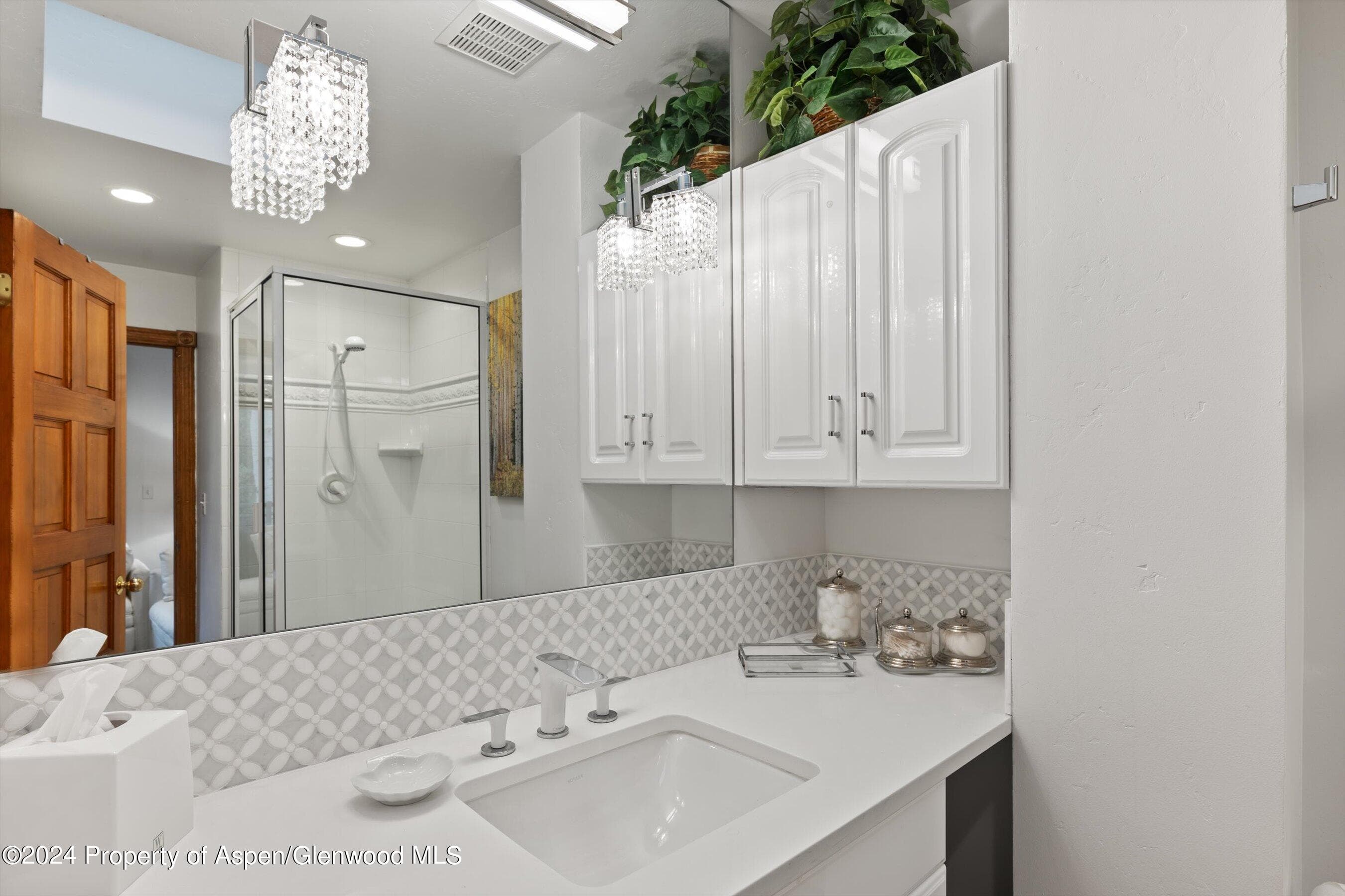 124 E Durant Avenue Unit 10, Aspen, CO 81611 - Photo 13